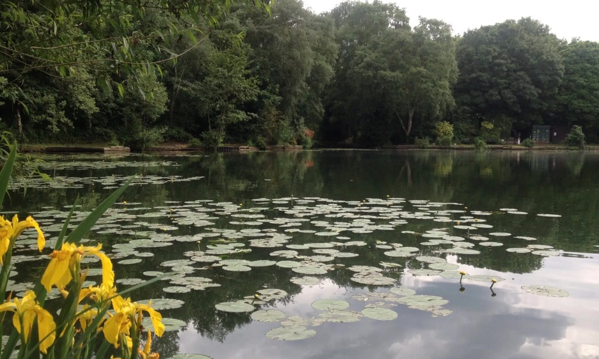 Cheadle Angling Club