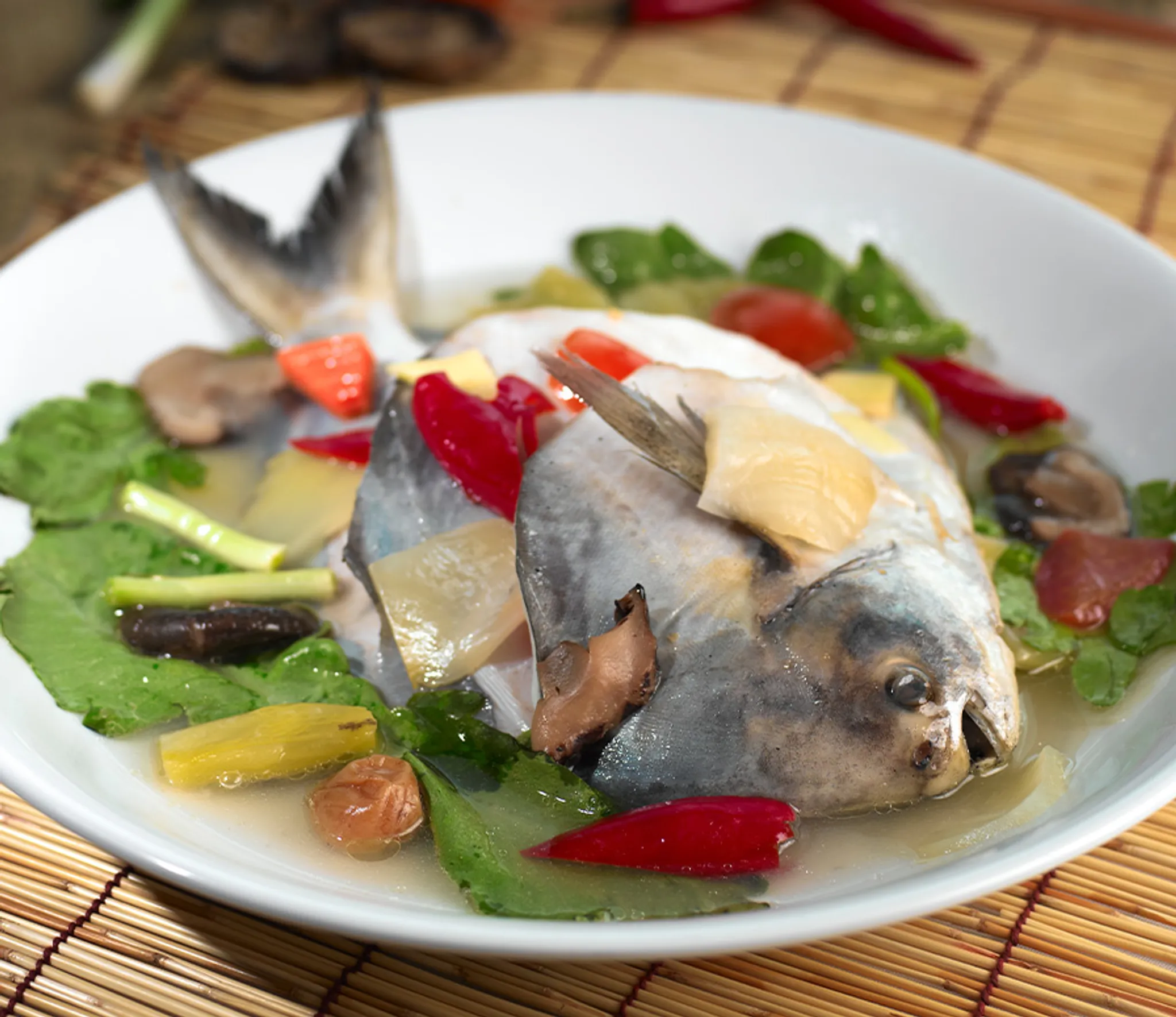 Raffles Marina Optimist Regatta 2024