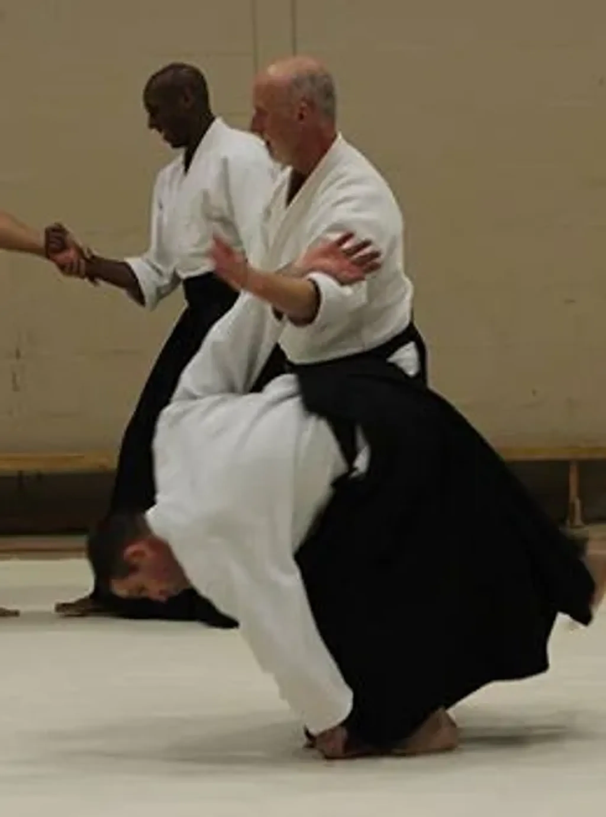 GOSHIN AIKIDO