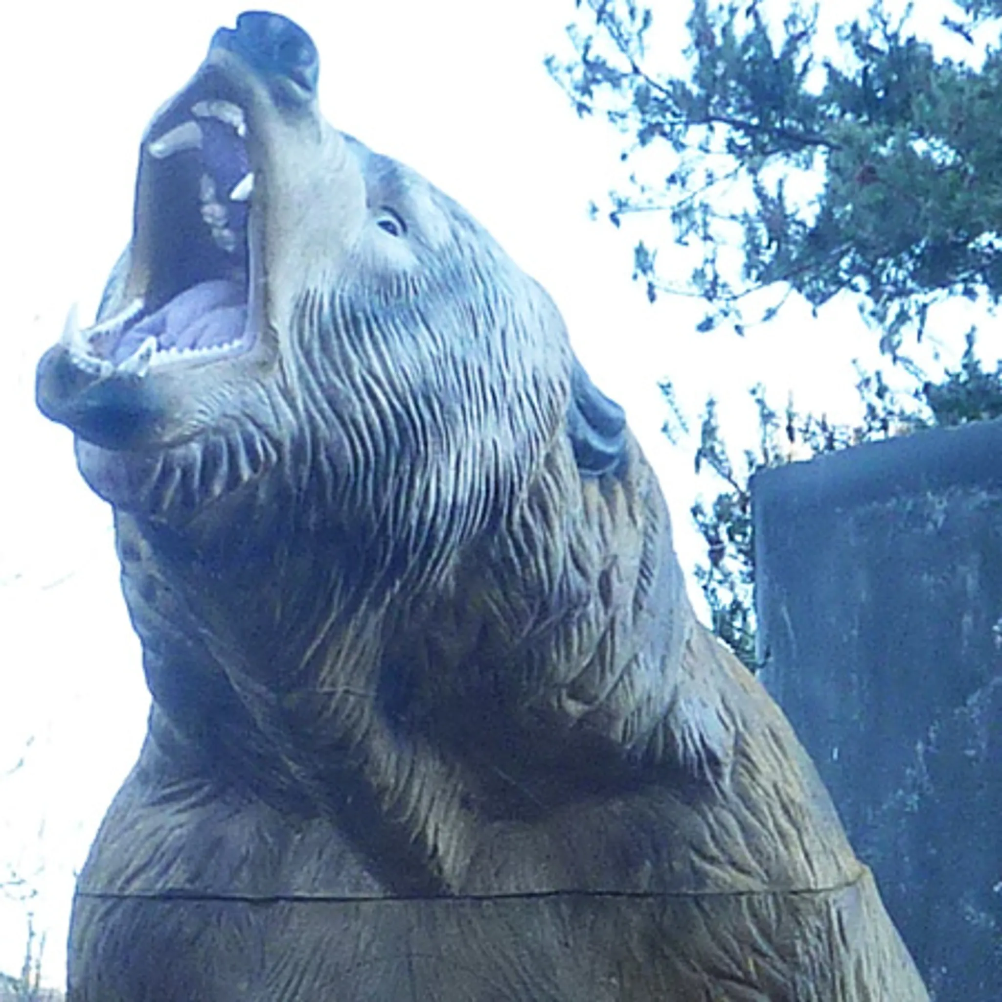 Les Archers du Lou Poney