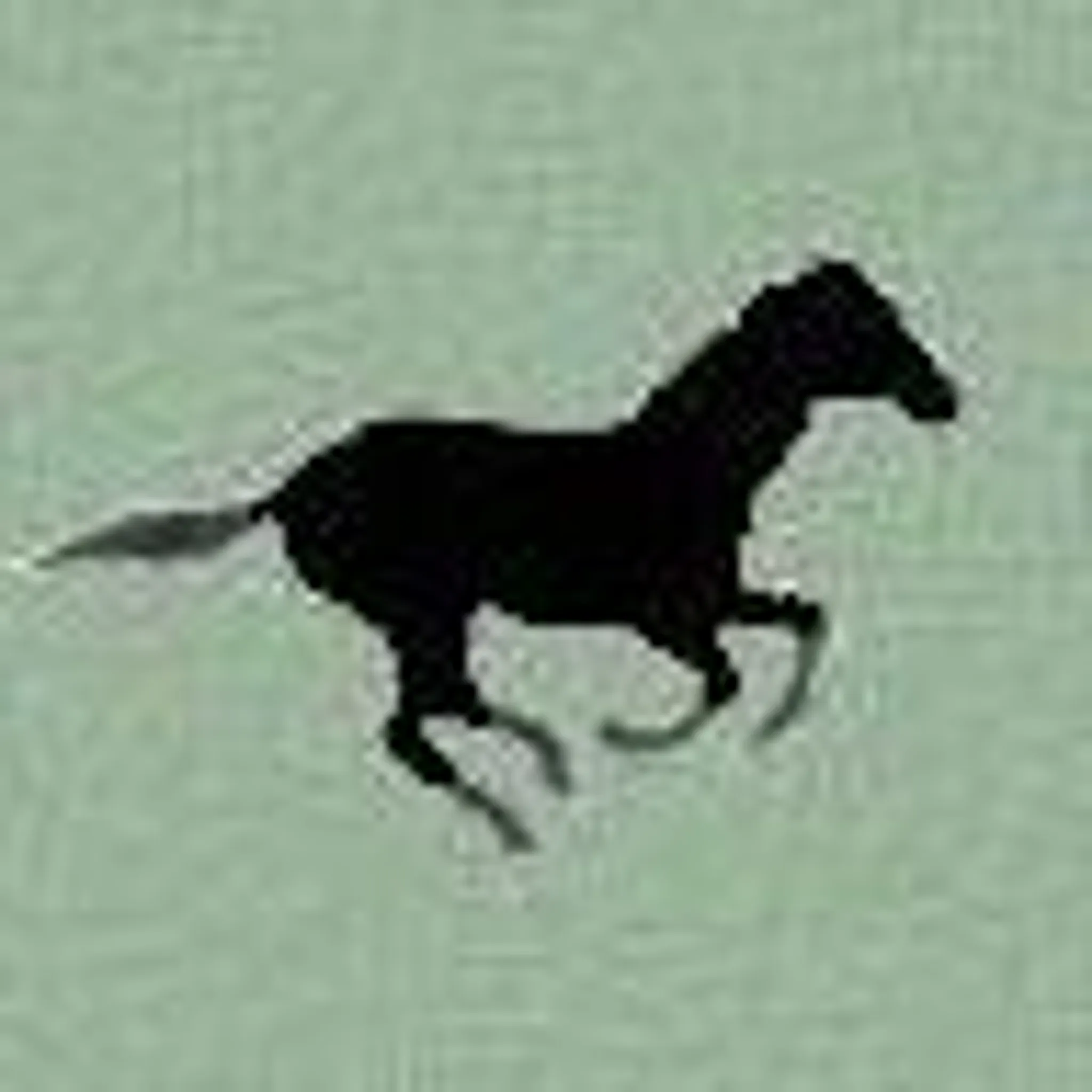 Mustang Ranch & Riding Stables