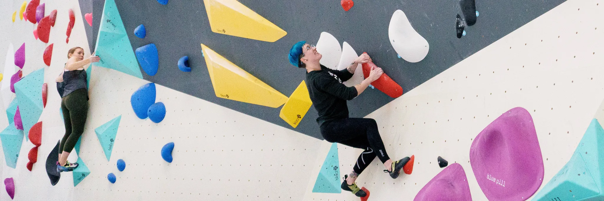 BlocHaus Marrickville