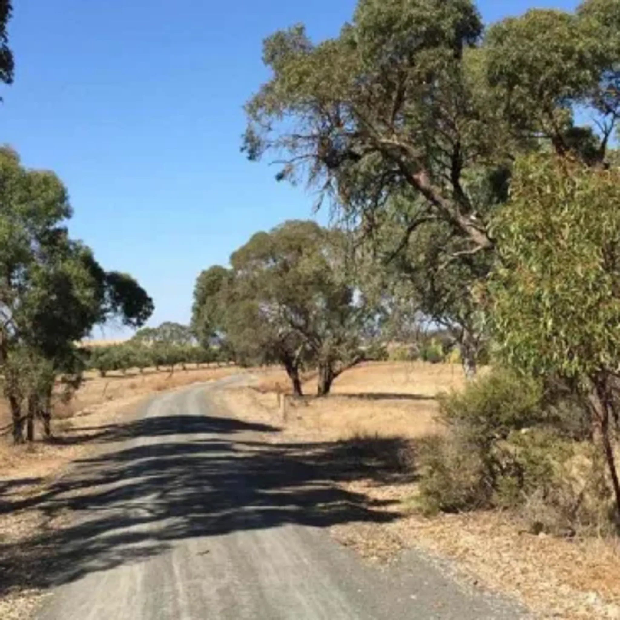 Riverton Outdoor Pool