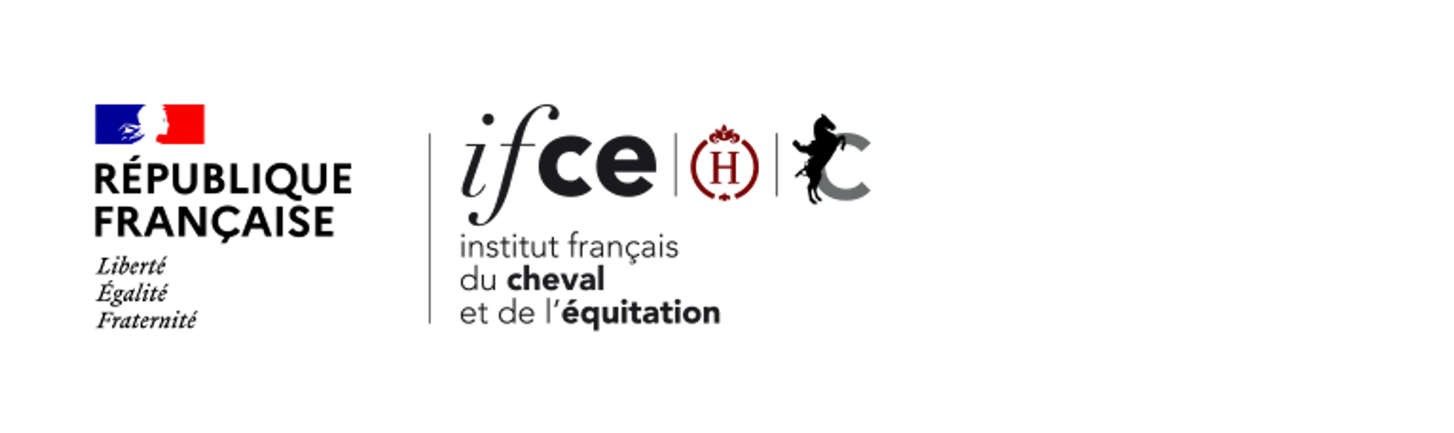 Pole De Training Ifce National Stud Du Pin