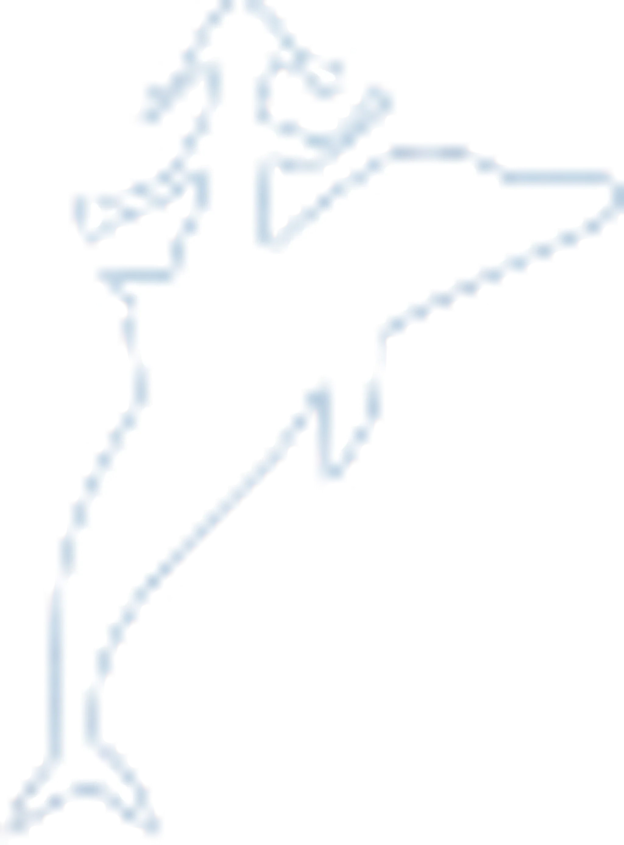 The Dolphin Swimming School (Queen Elizabeth School for Boys)