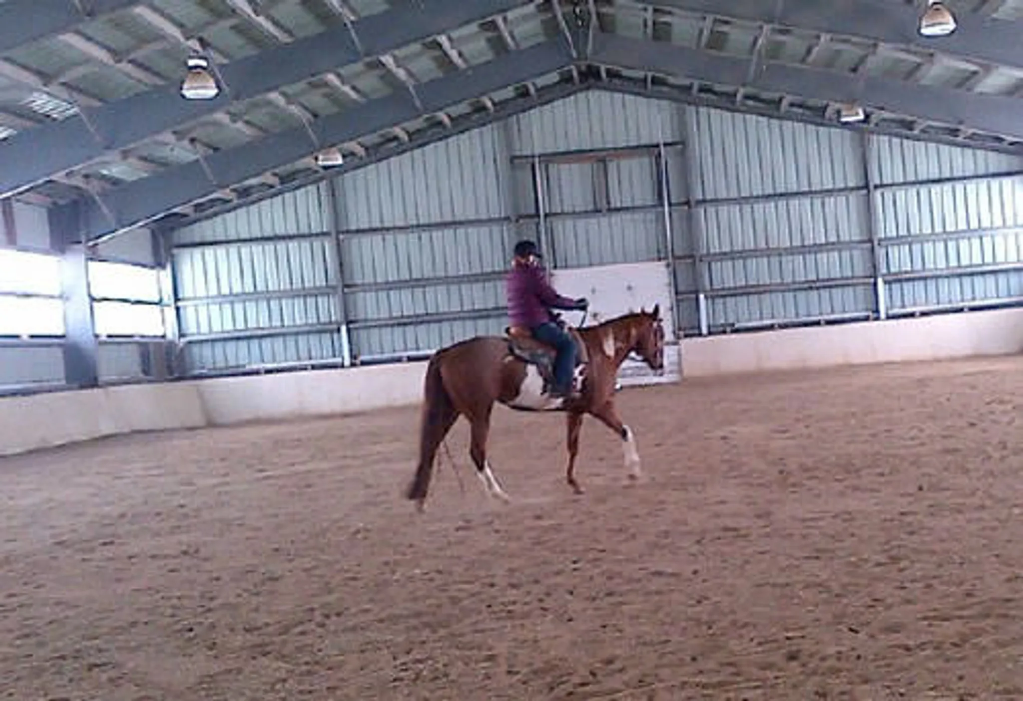 Y NOT FARMS & EQUESTRIAN CENTRE