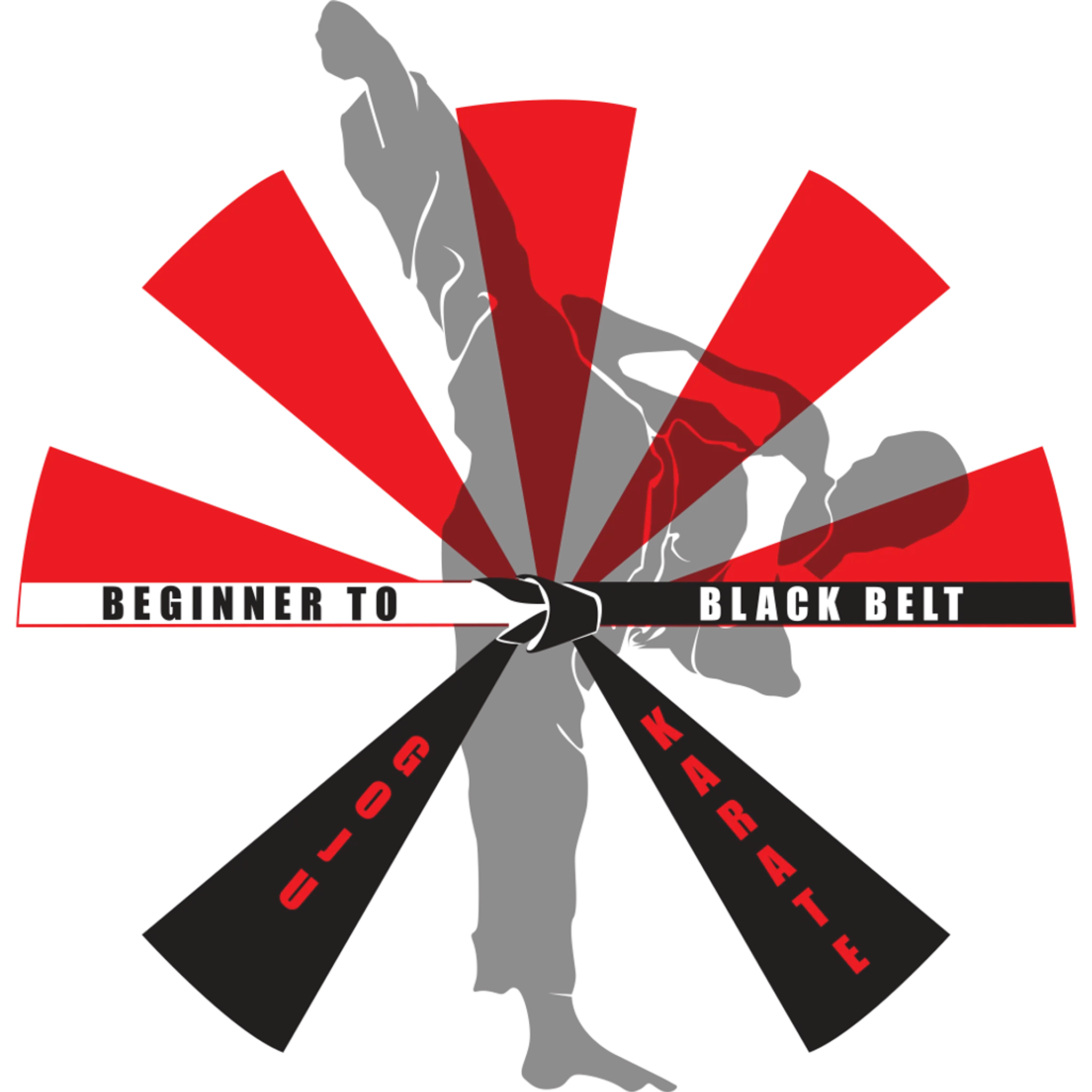 Beginner to Black Belt Goju Karate