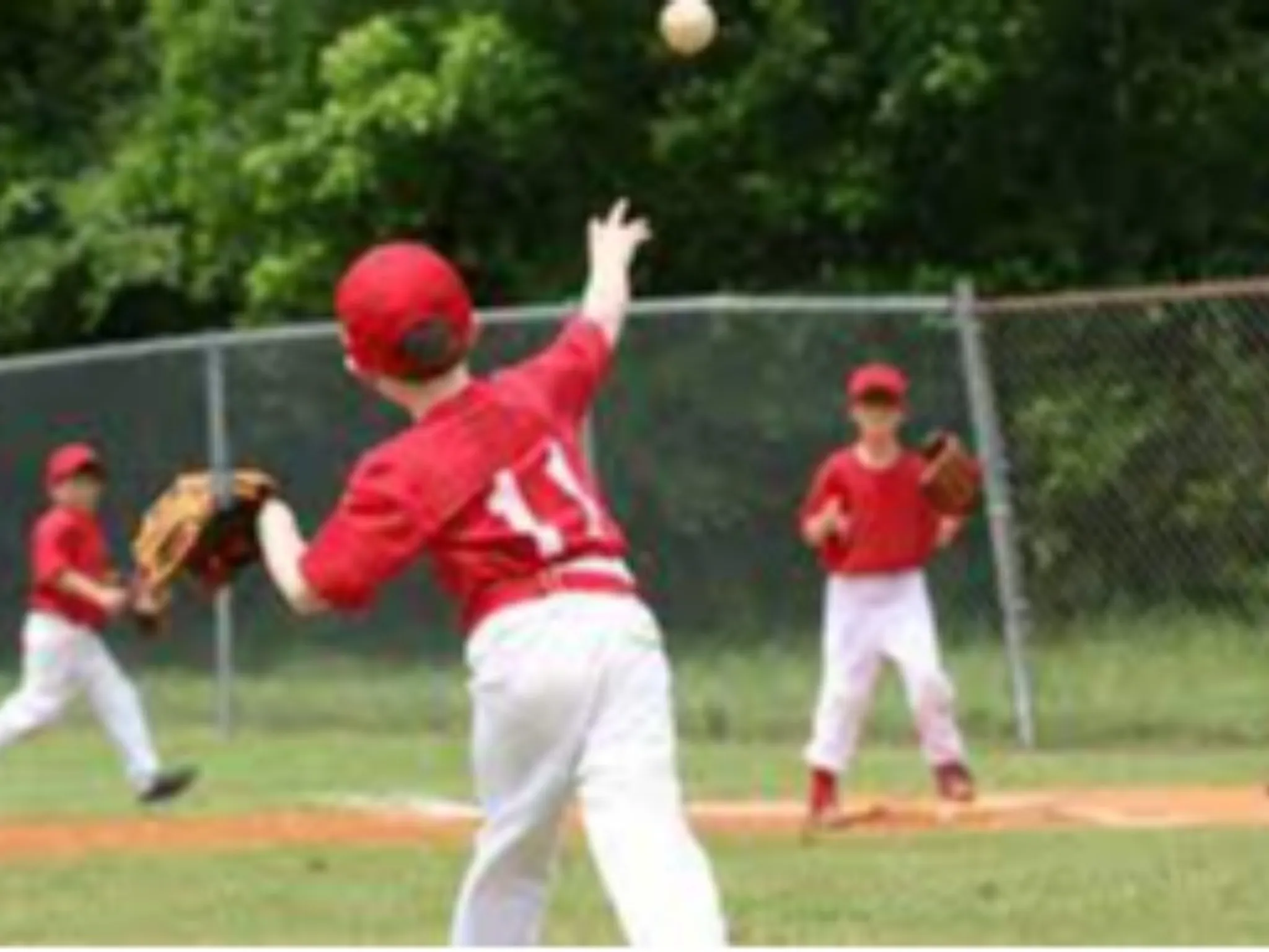Woodstock Minor Baseball Timbits - Grey