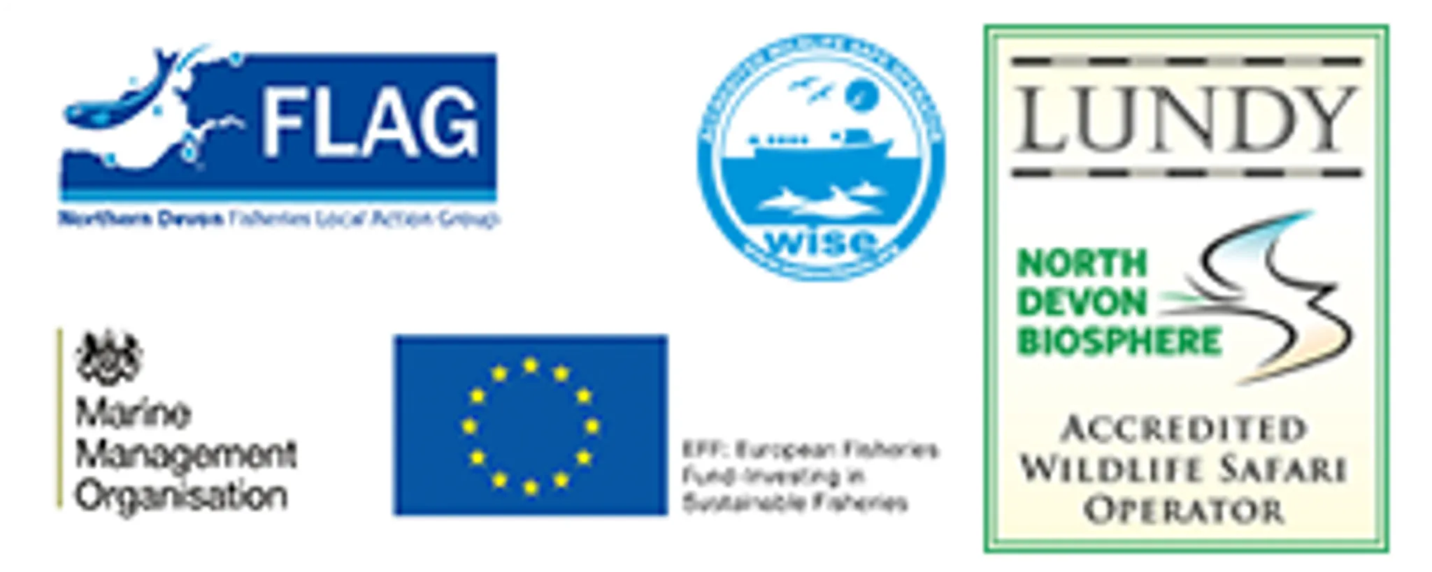 Ilfracombe Sea Safari