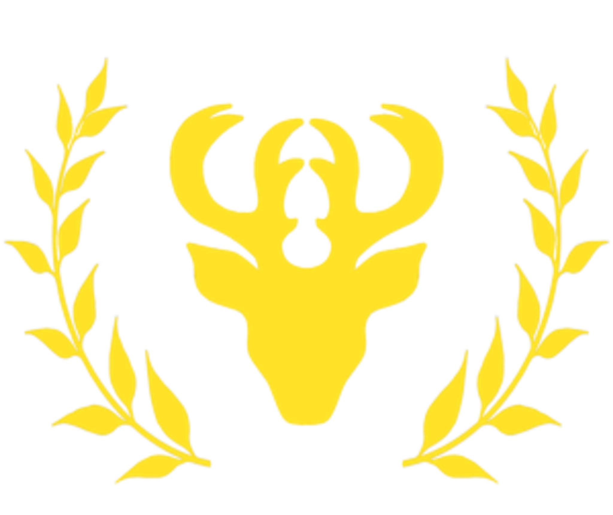 Bowmen of Lyme Archery Club