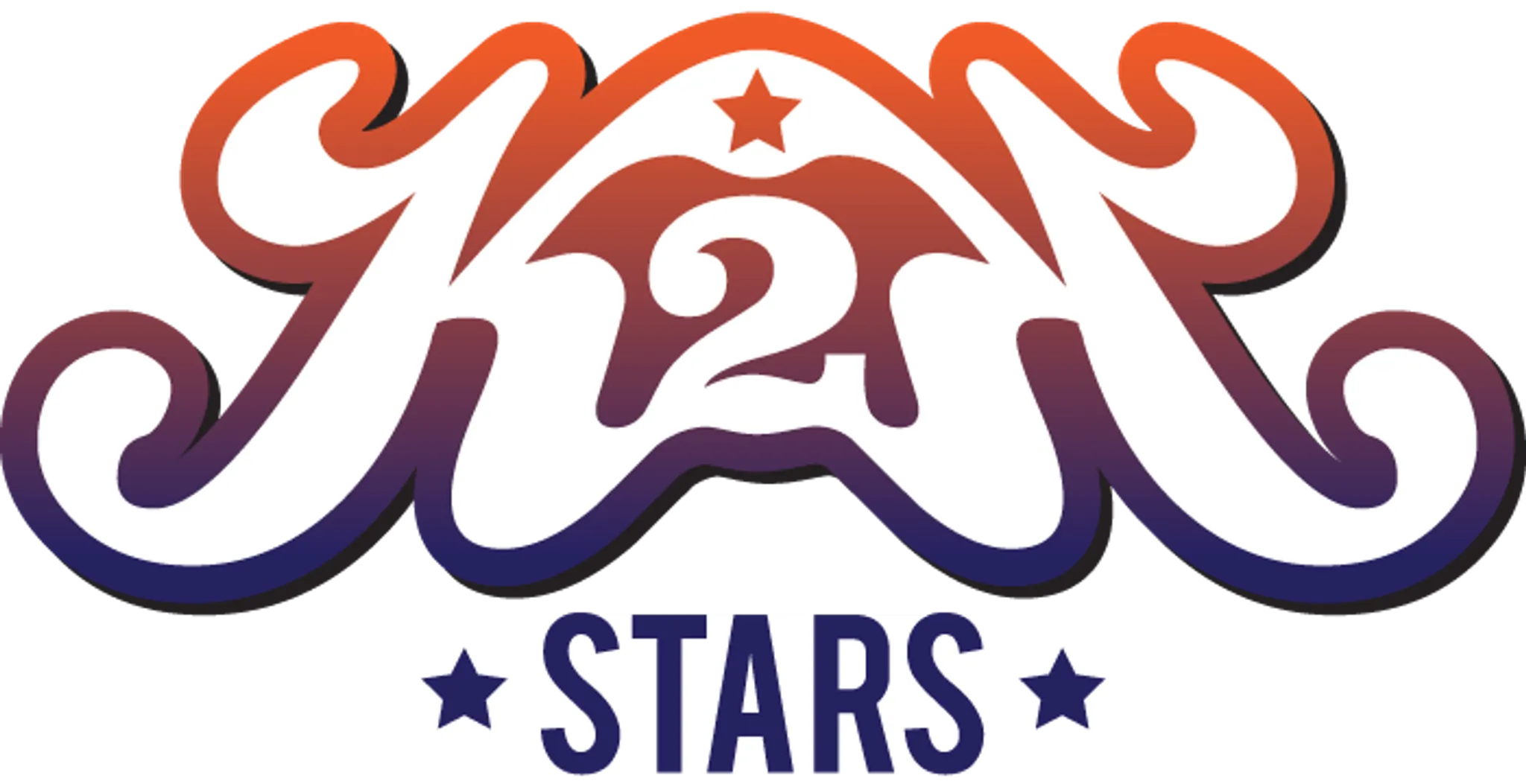 K2K Stars Performing Arts Academy