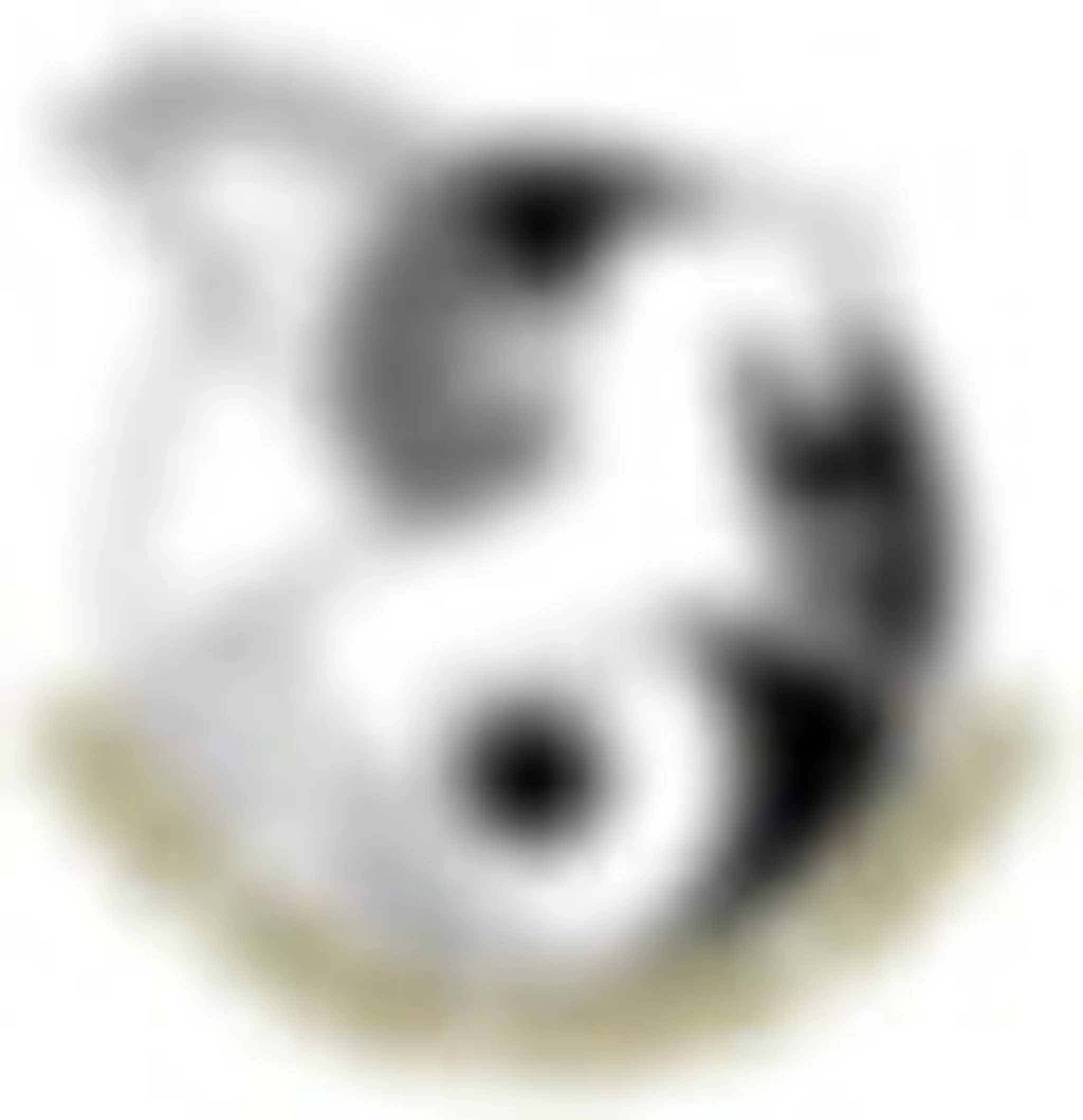 Turnout Stables - Williams' Farm