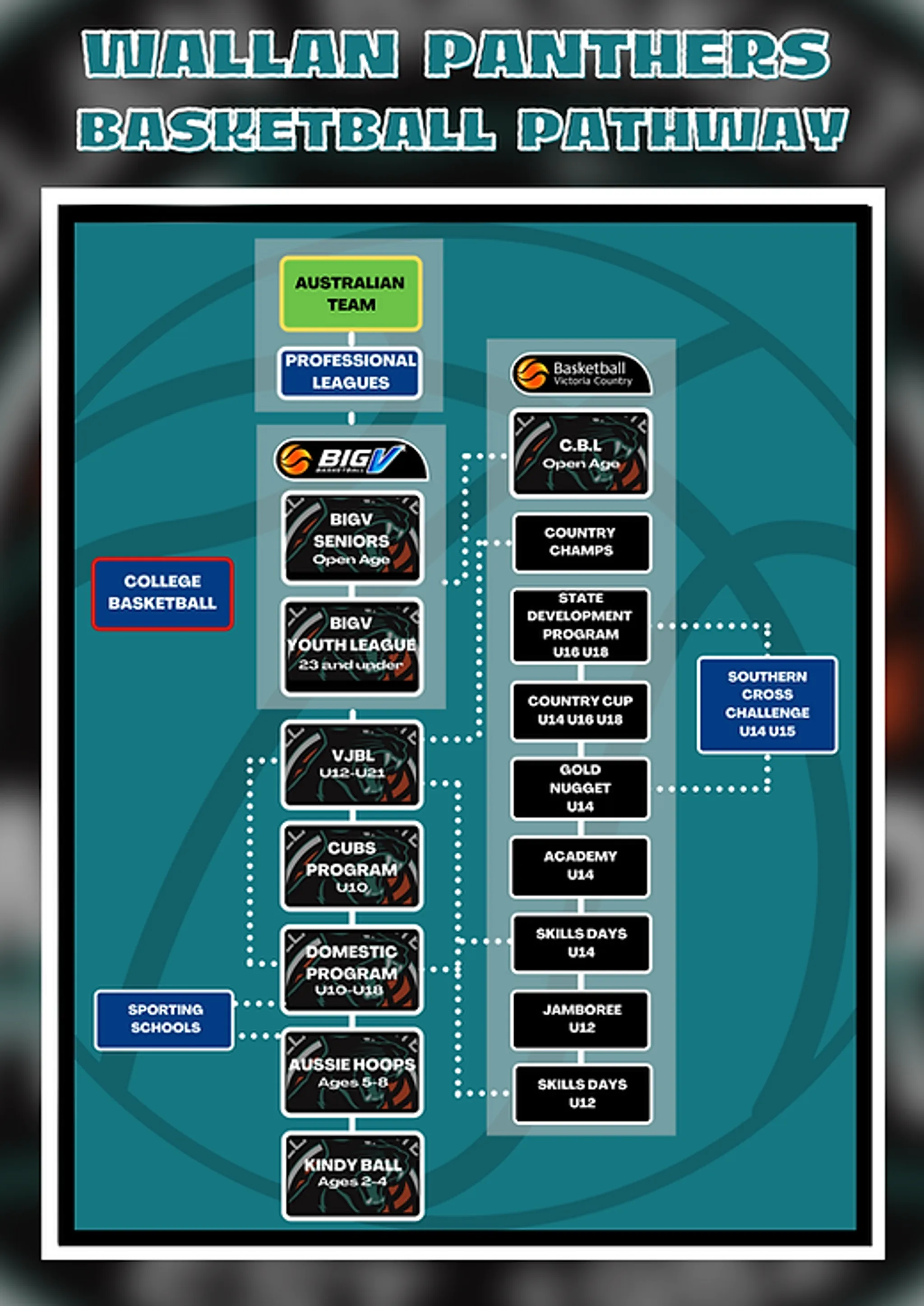 Wallan Basketball Senior Domestic Basketball