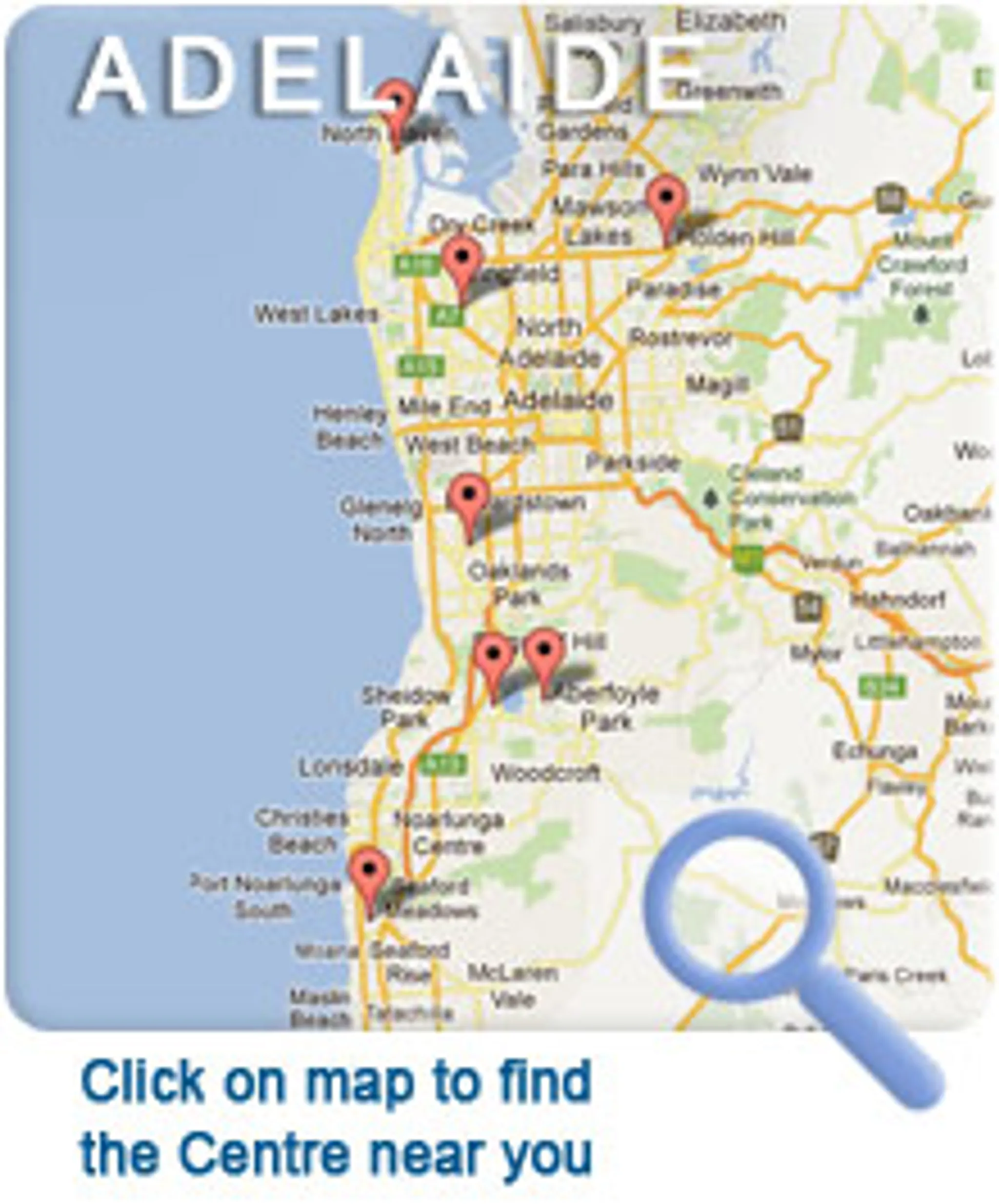 Hayden Stoeckel Swimming Pool