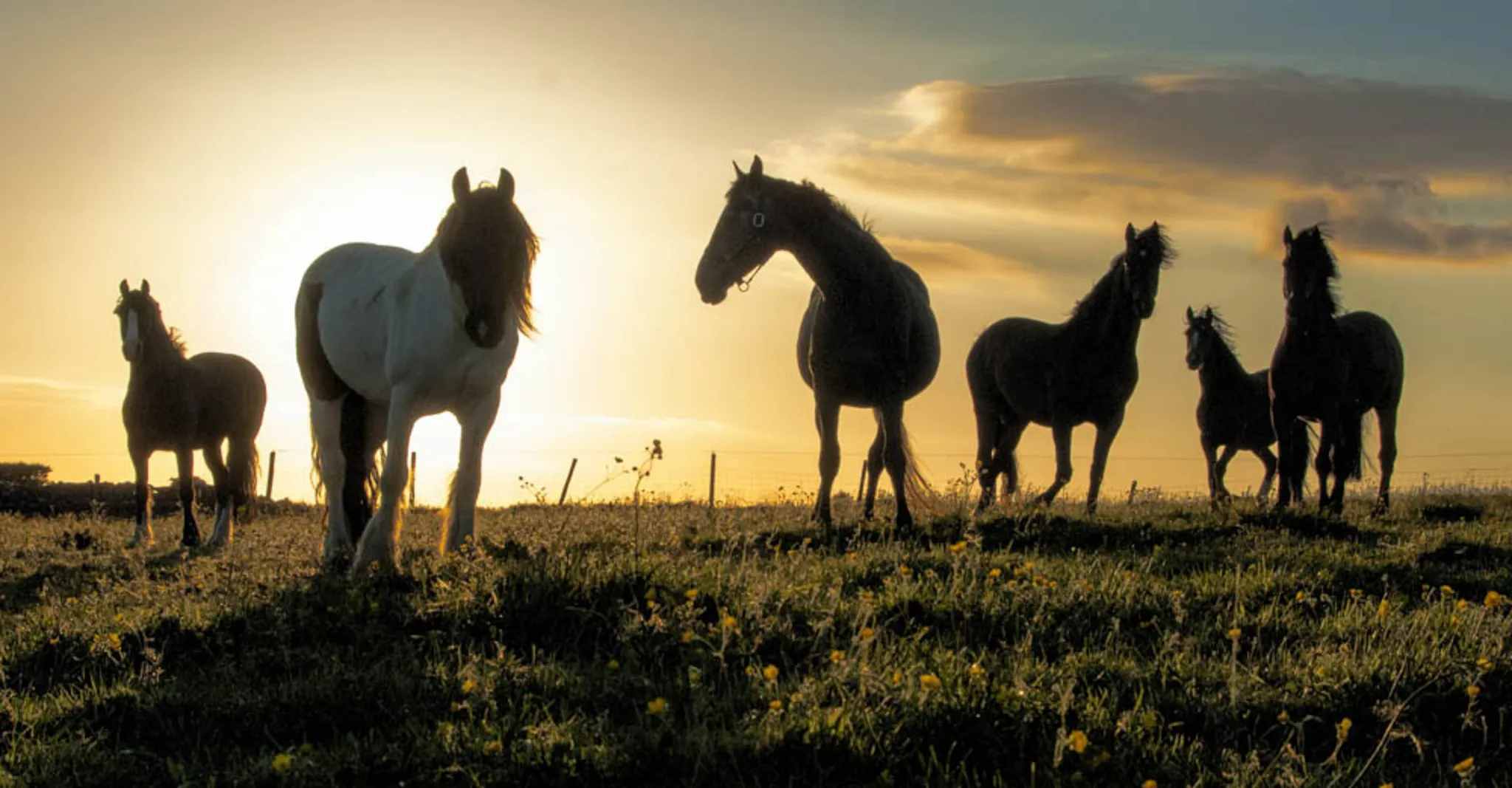 Teenage Riding Holiday