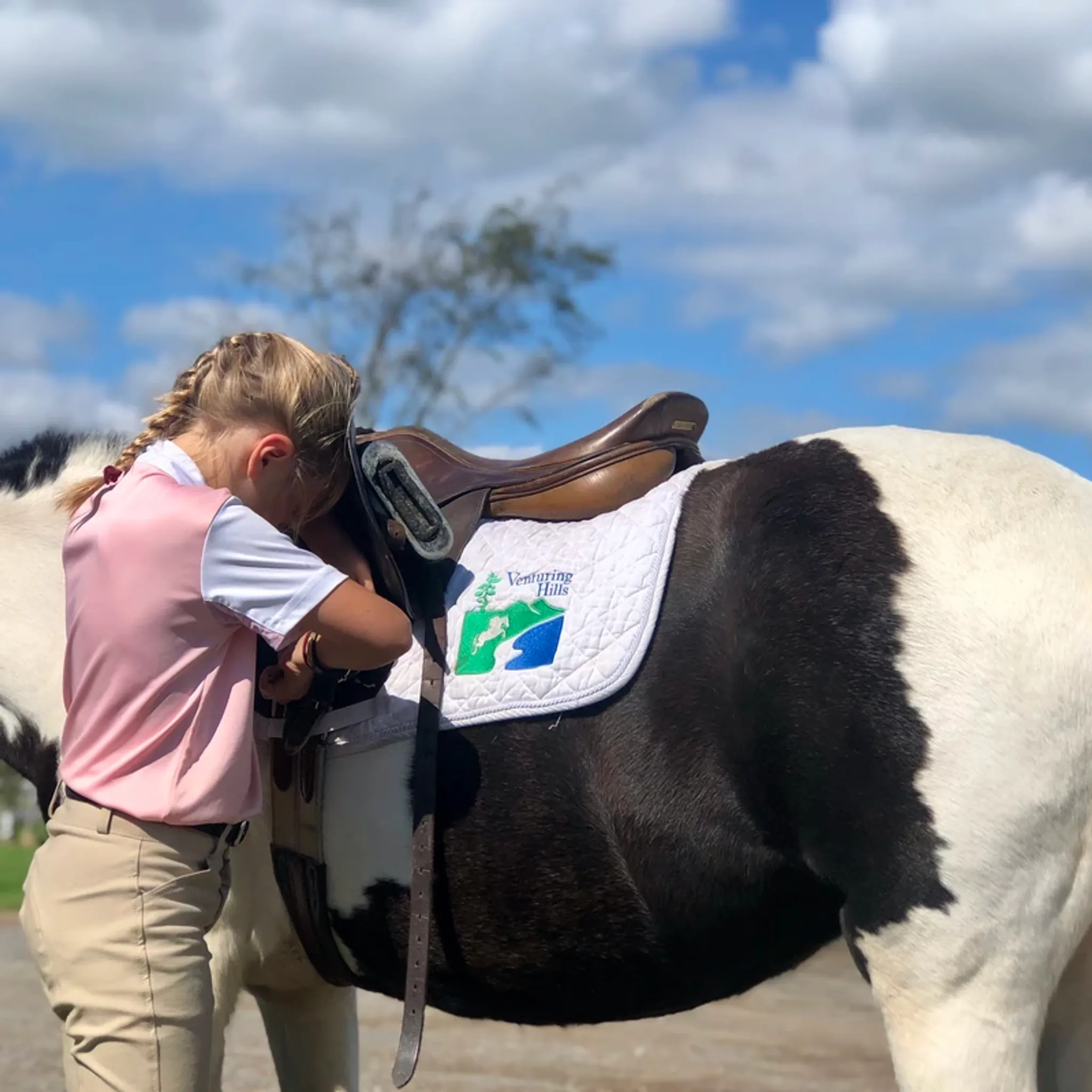 Defying Gravity: Straight to the Top!