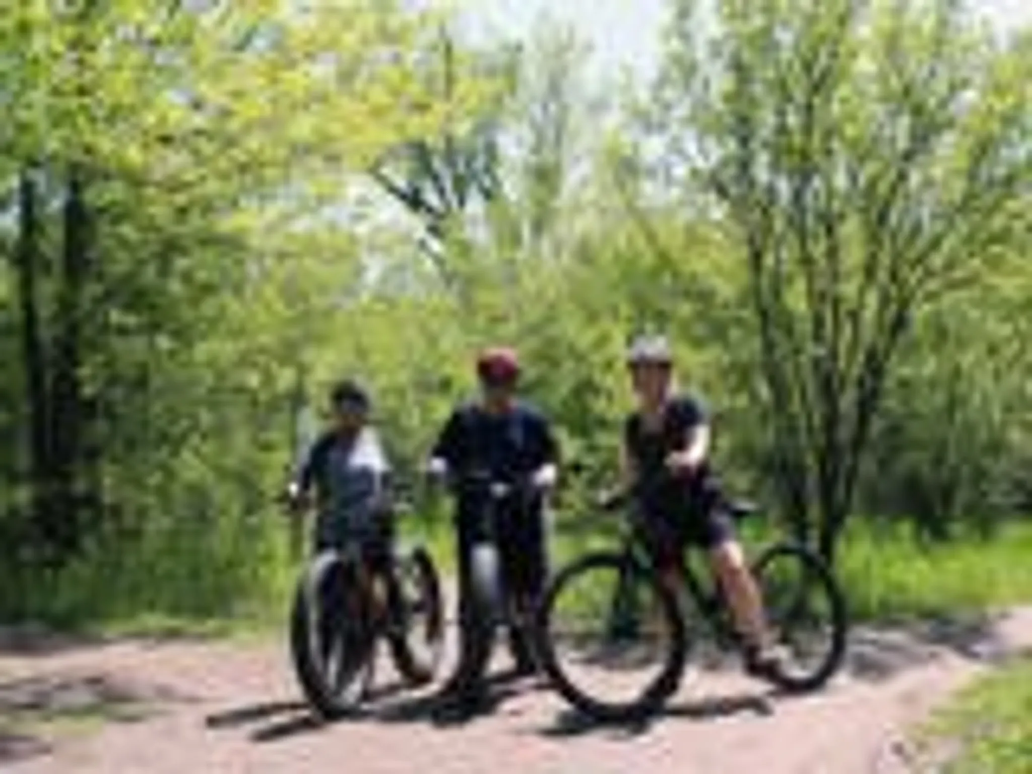 Harold Town Conservation Area