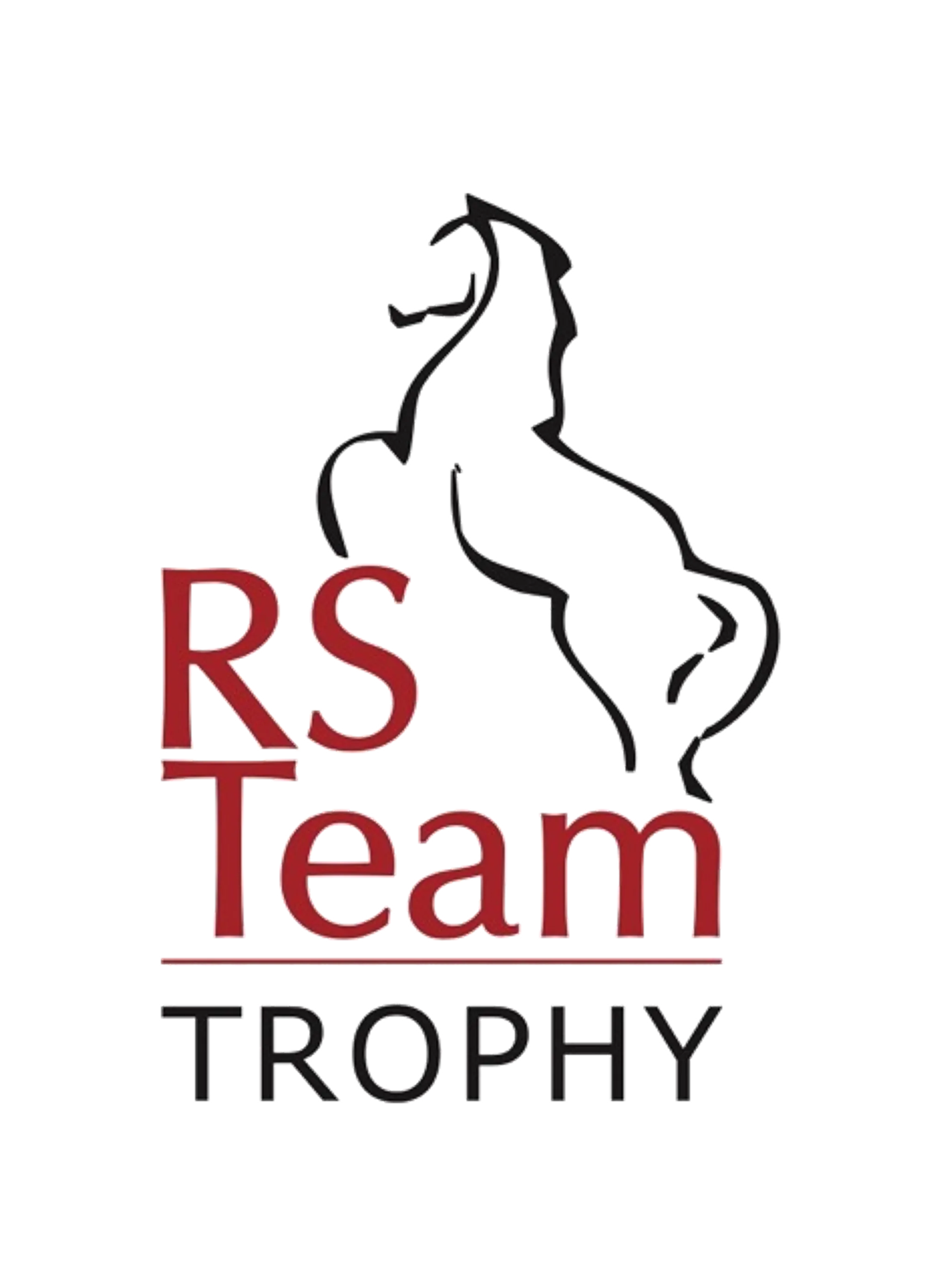 RS TEAM s.r.o.