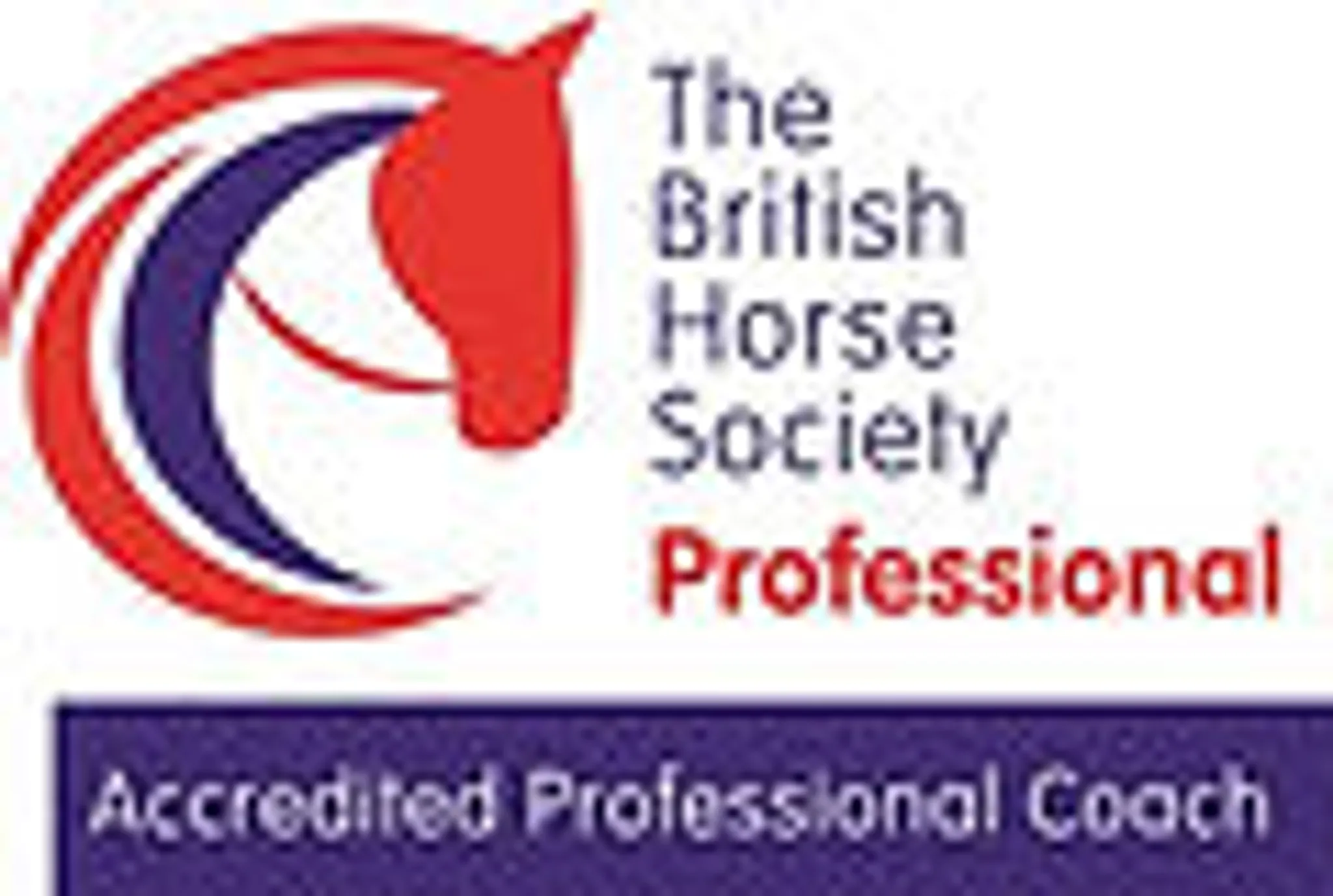 Ruth McGarry BHSAI Riding Instructor