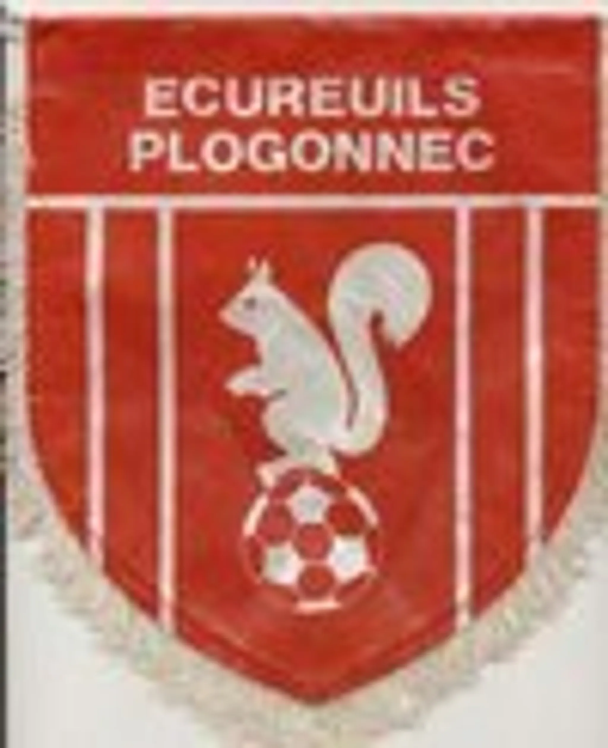 Ecureuils Sportifs de Plogonnec