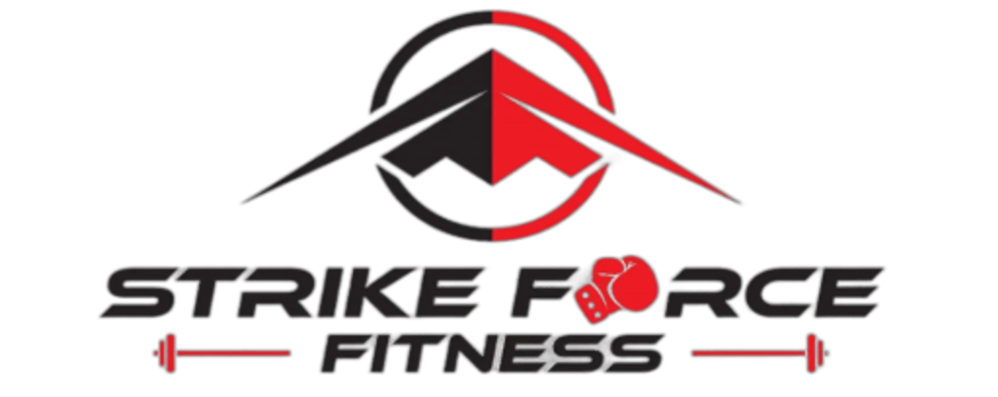 Strike Force Fitness