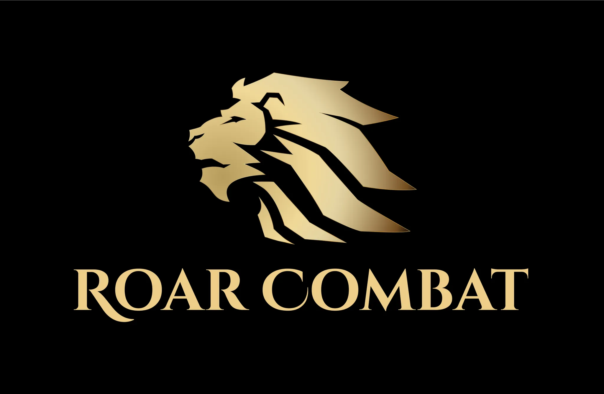 Roar Combat Academy