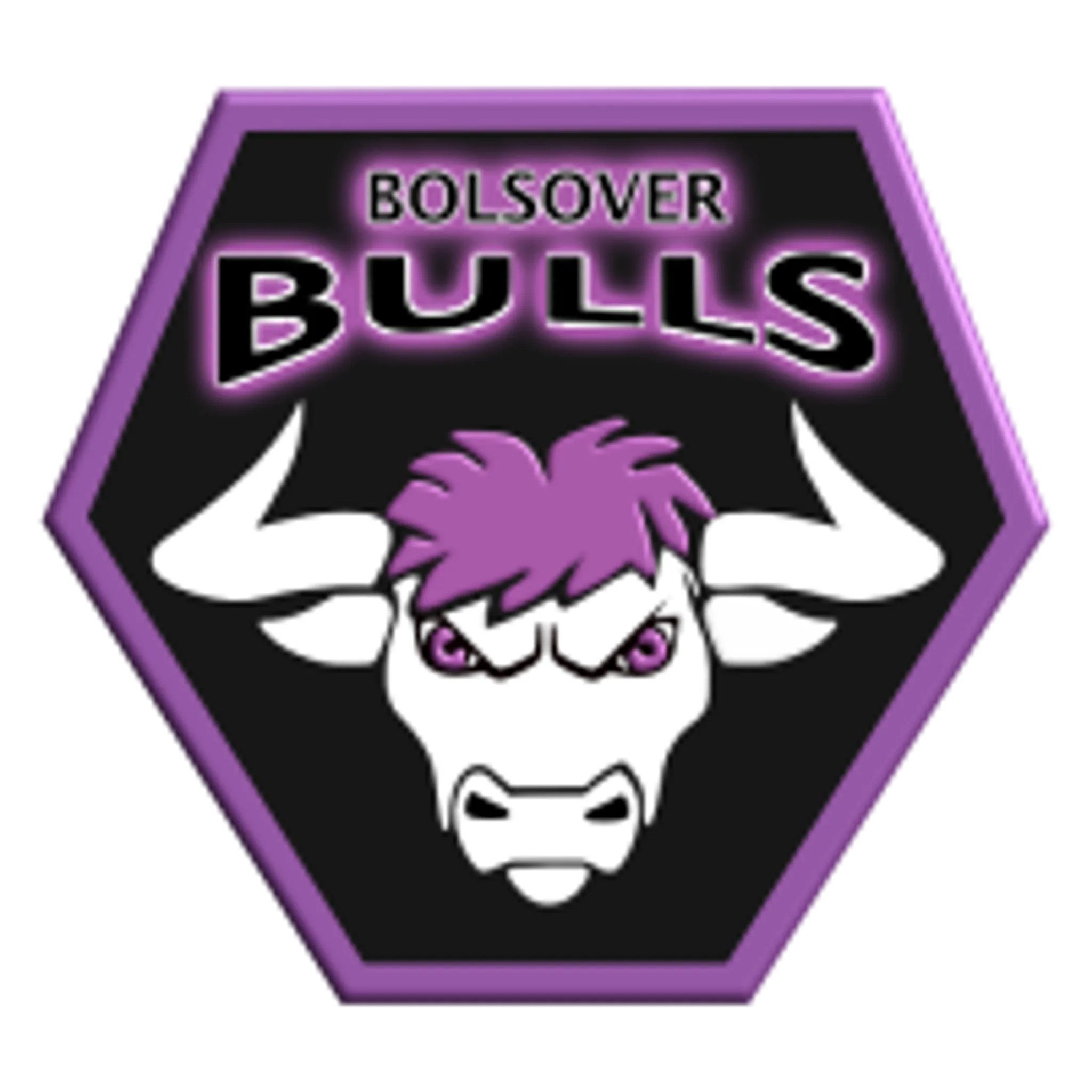 Bolsover Bulls RFL Club
