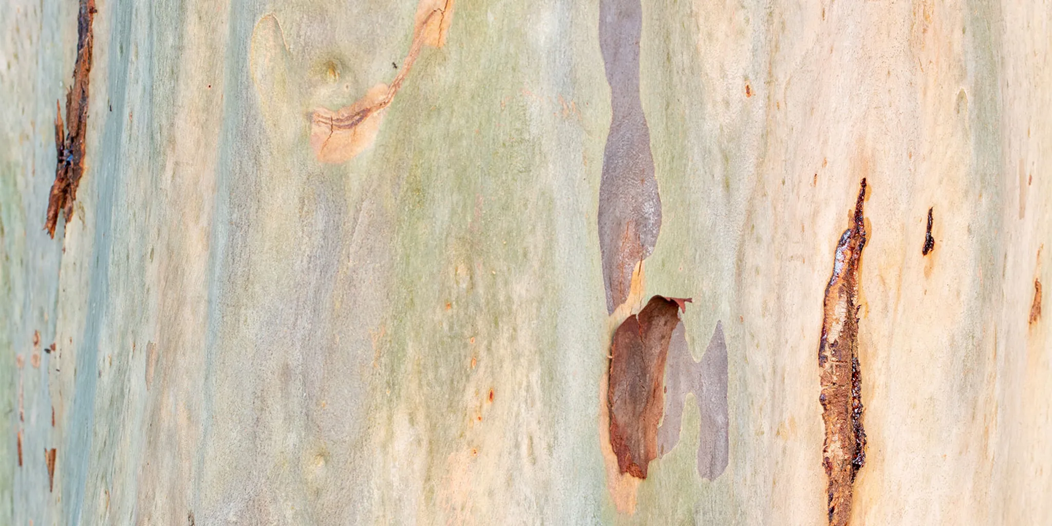 Home Grown in the Hunter Exhibition