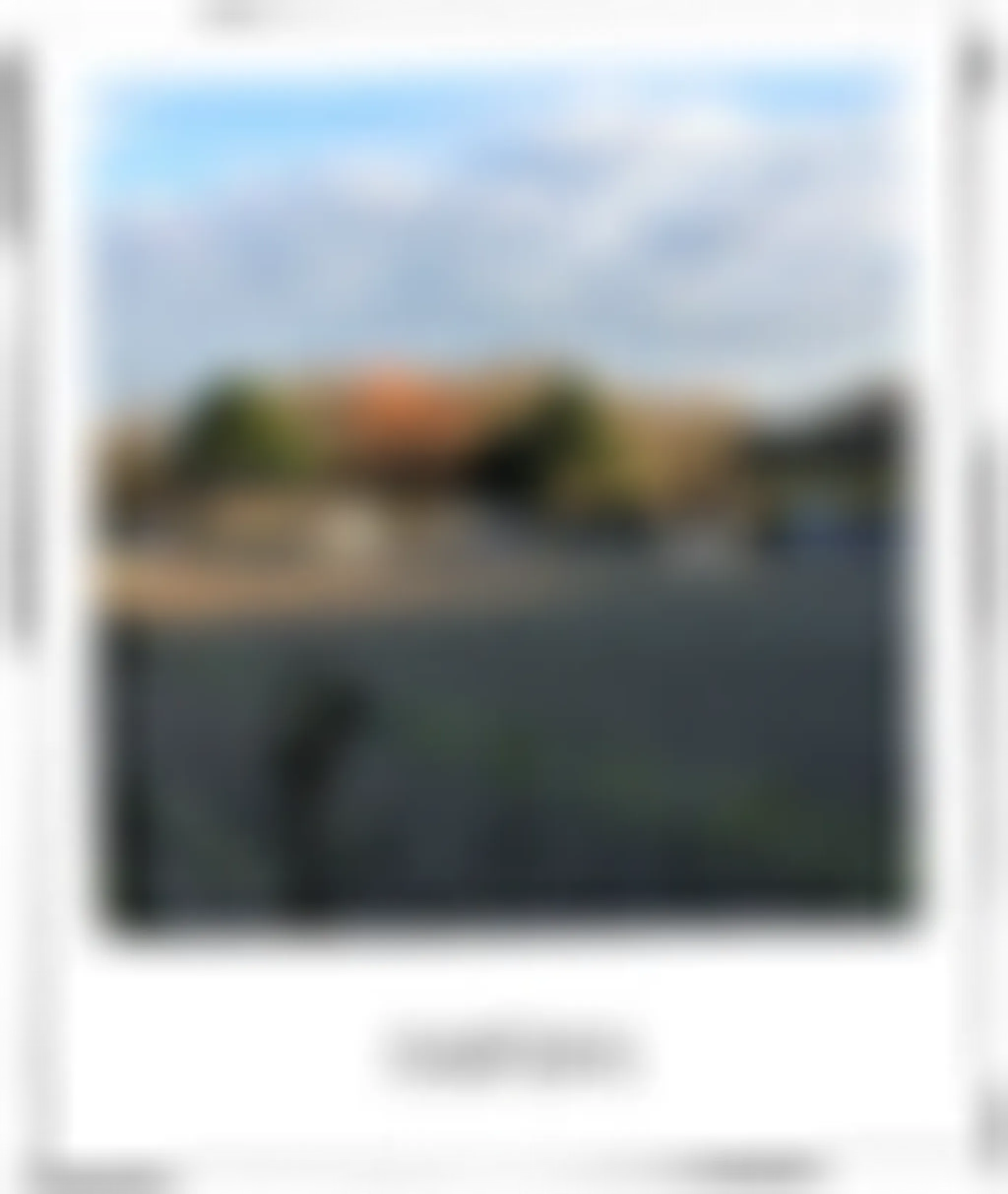 Trotters Riding School & Livery Yard