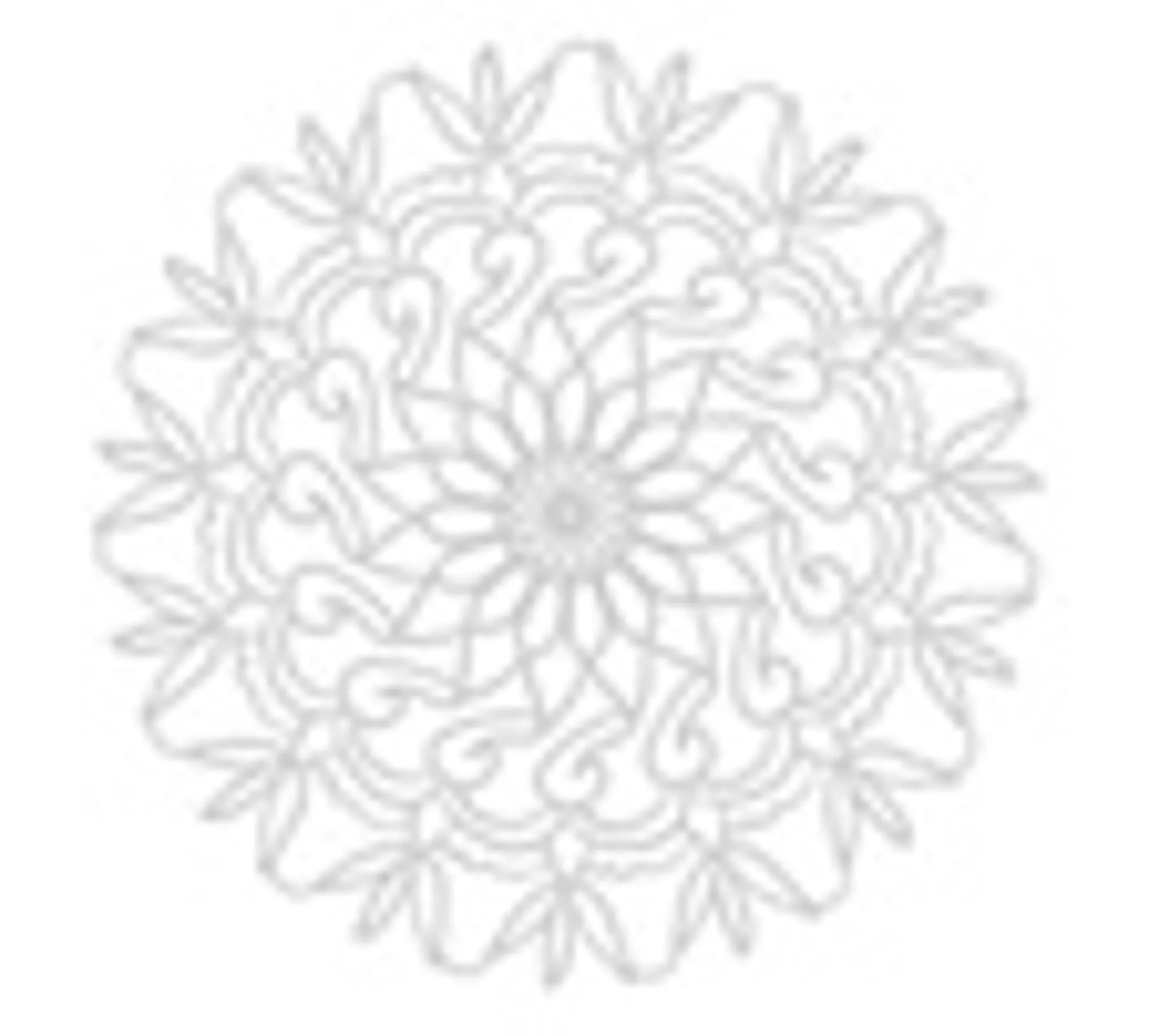 Lisa Hill Balanced Fitness