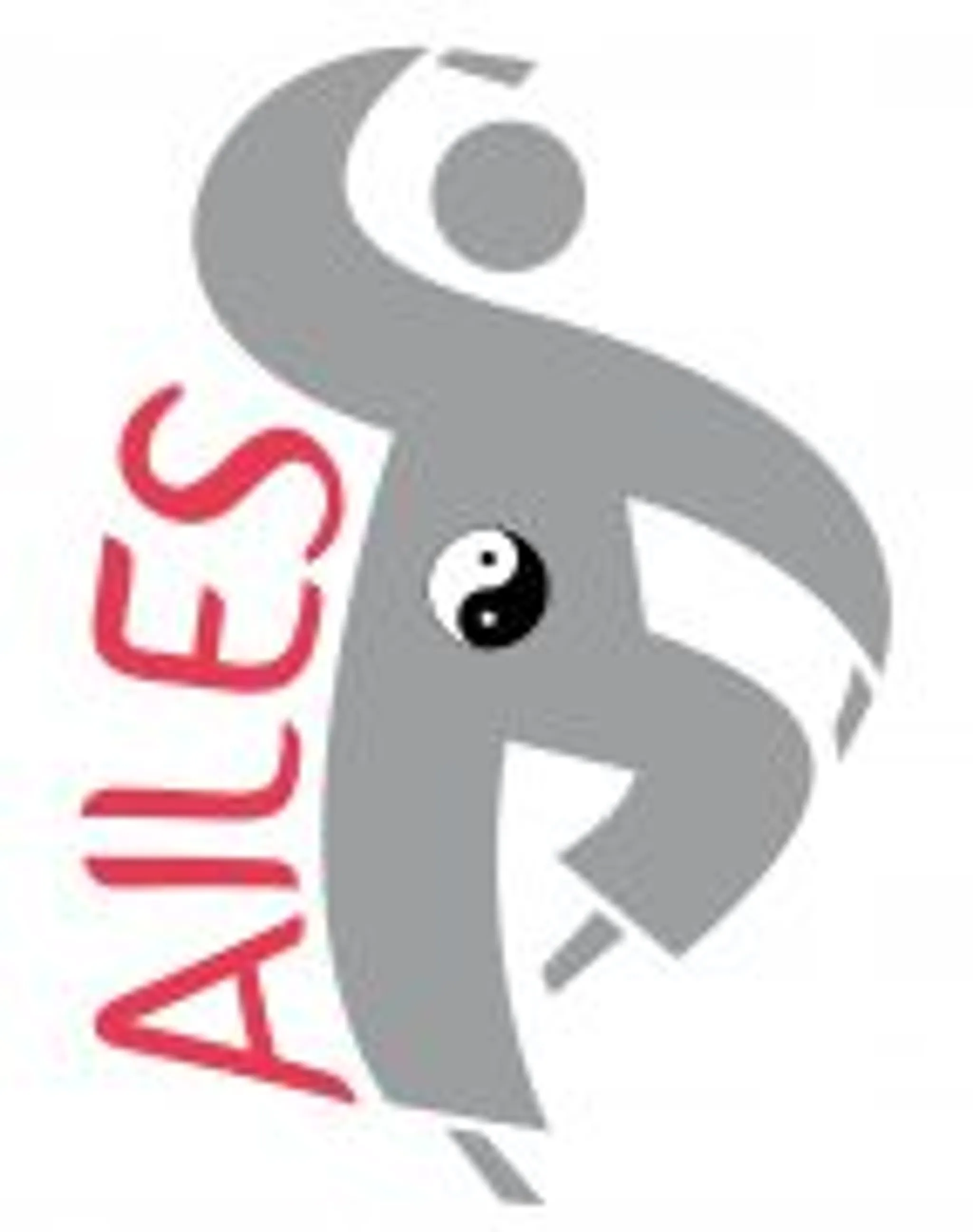 Tai Chi Chuan Qi Gong A Orléans