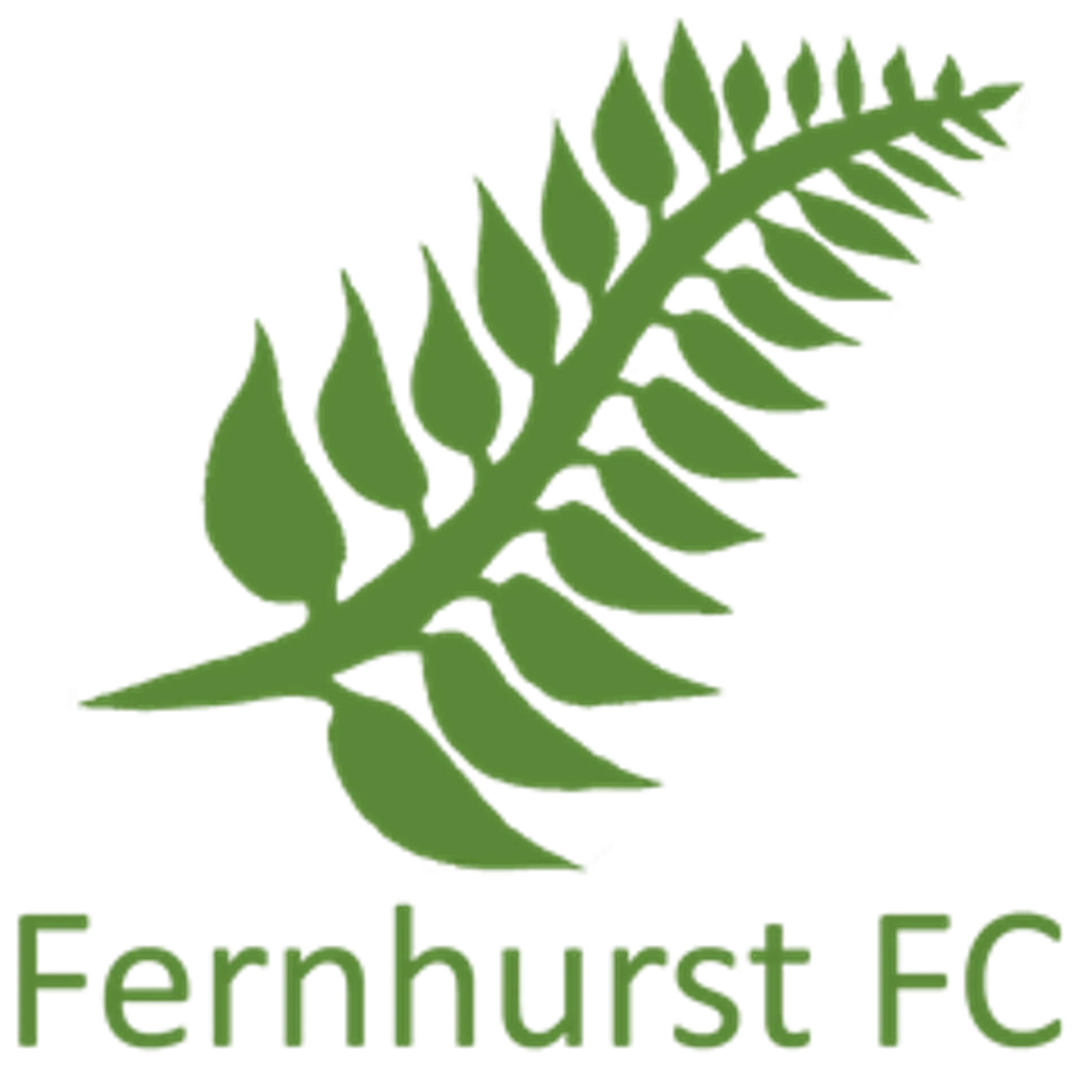 Fernhurst Football Club