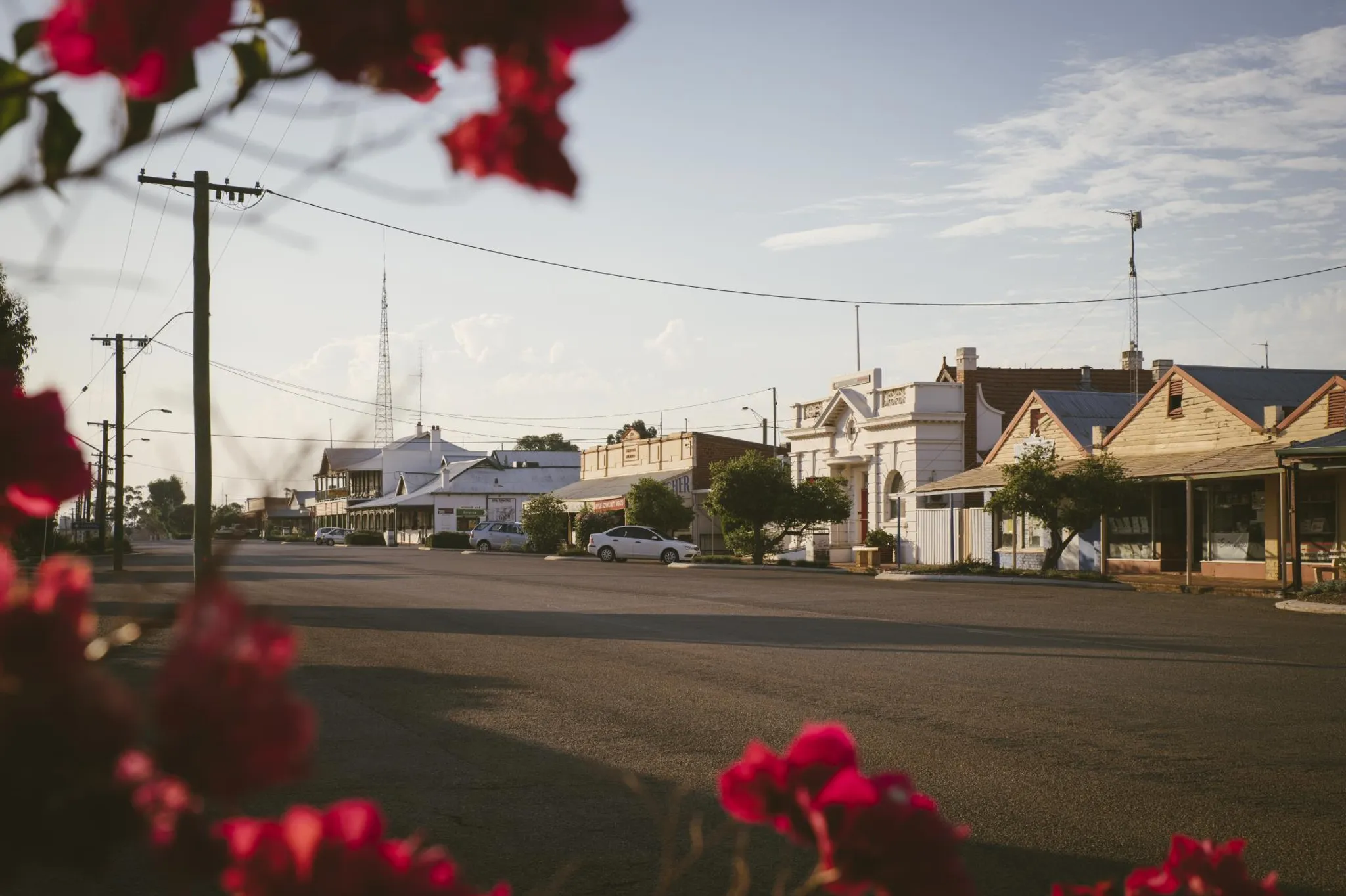 Trails and Wildflowers Walk