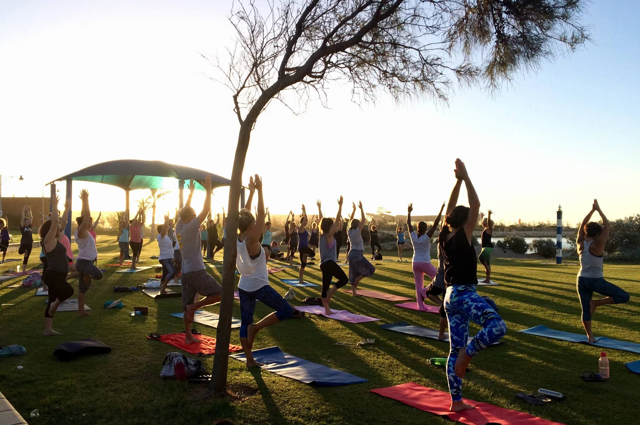 Free Community Yoga Classes