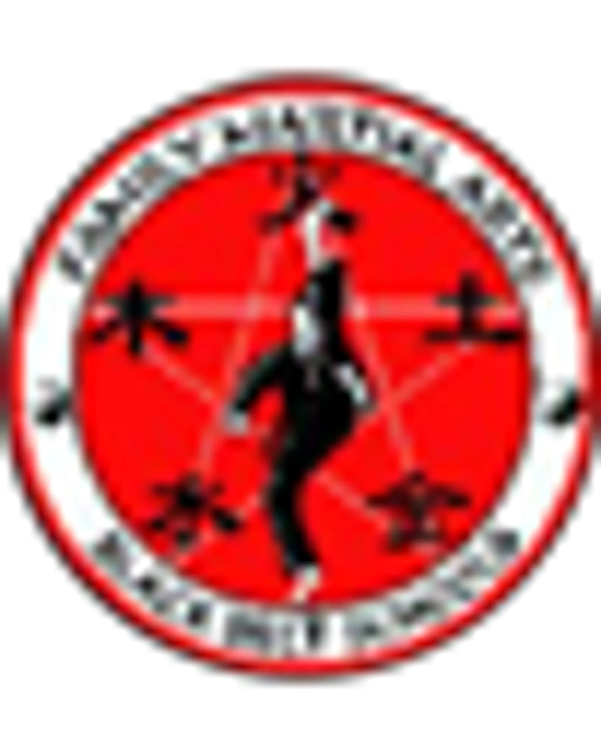 Family Martial Arts in Maidstone and Gravesend