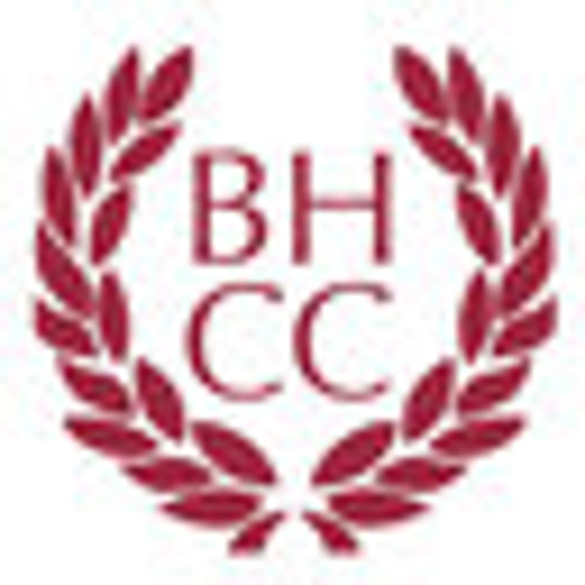 Benwell Hill Cricket Club