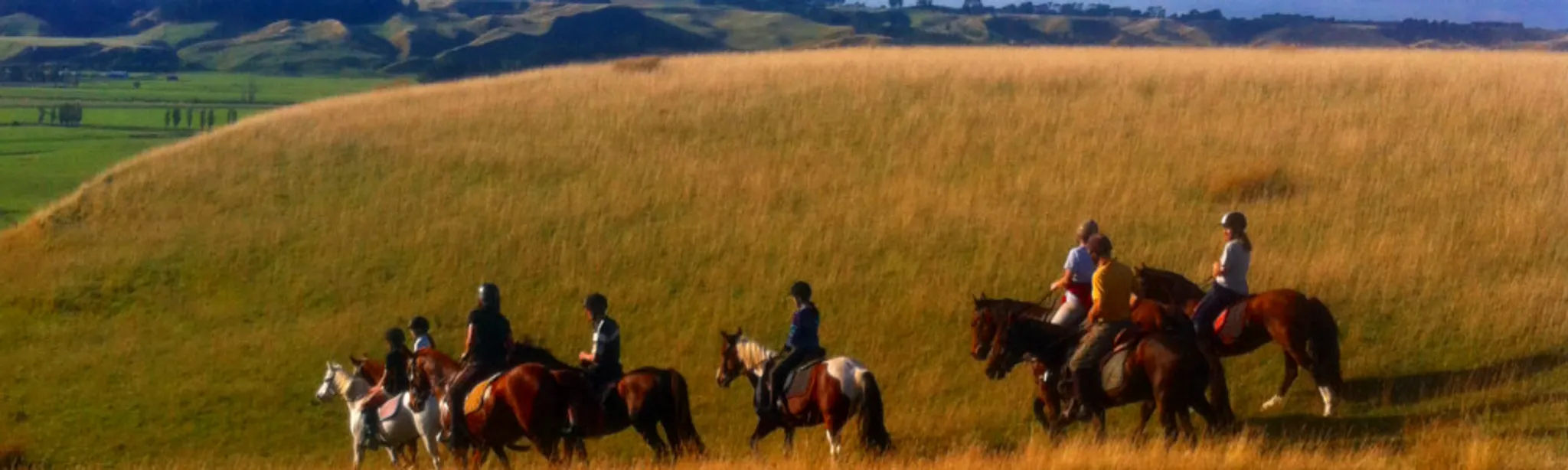 Actifun Riding Stables