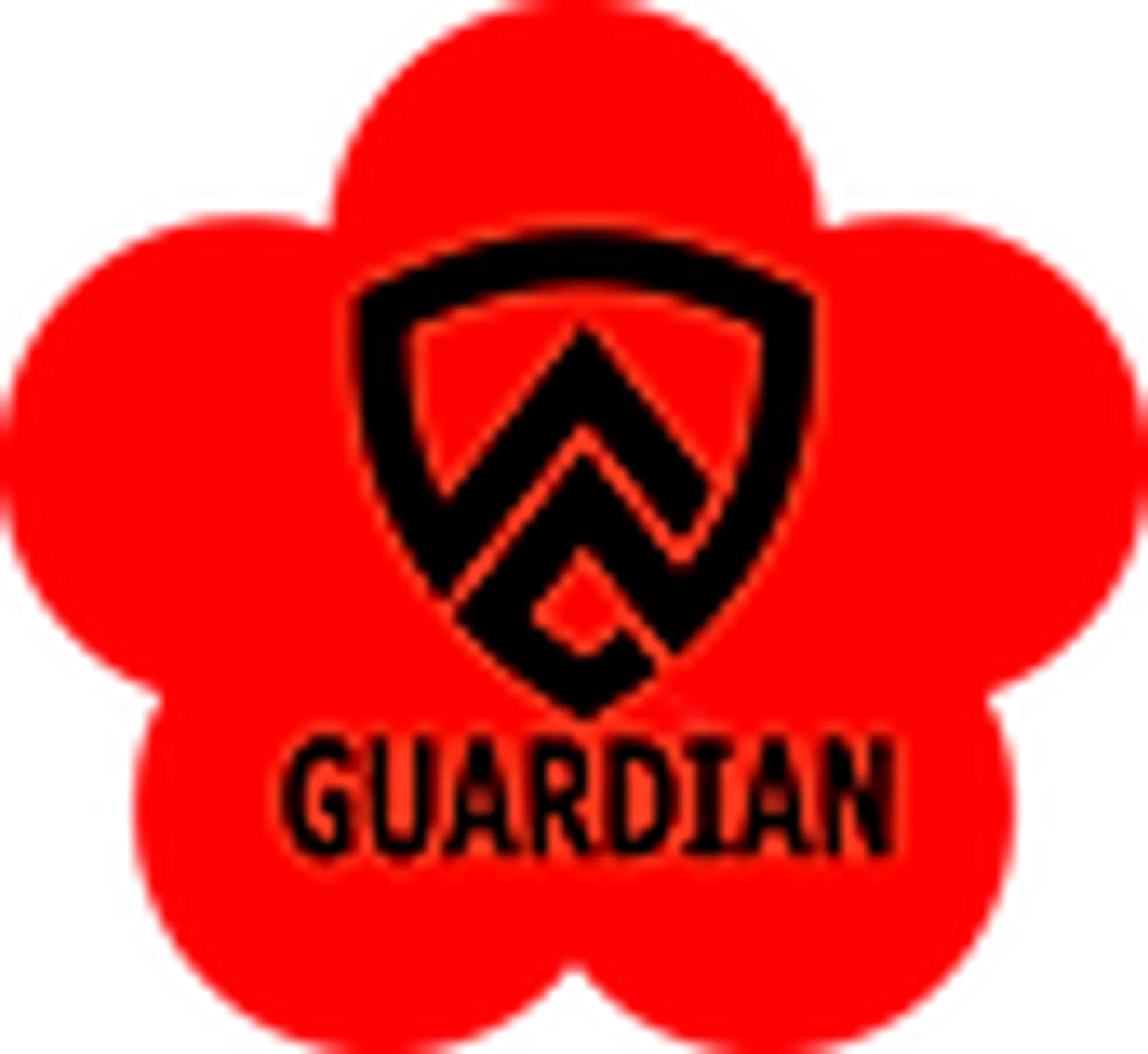 Guardian Ving Tsun Kung Fu