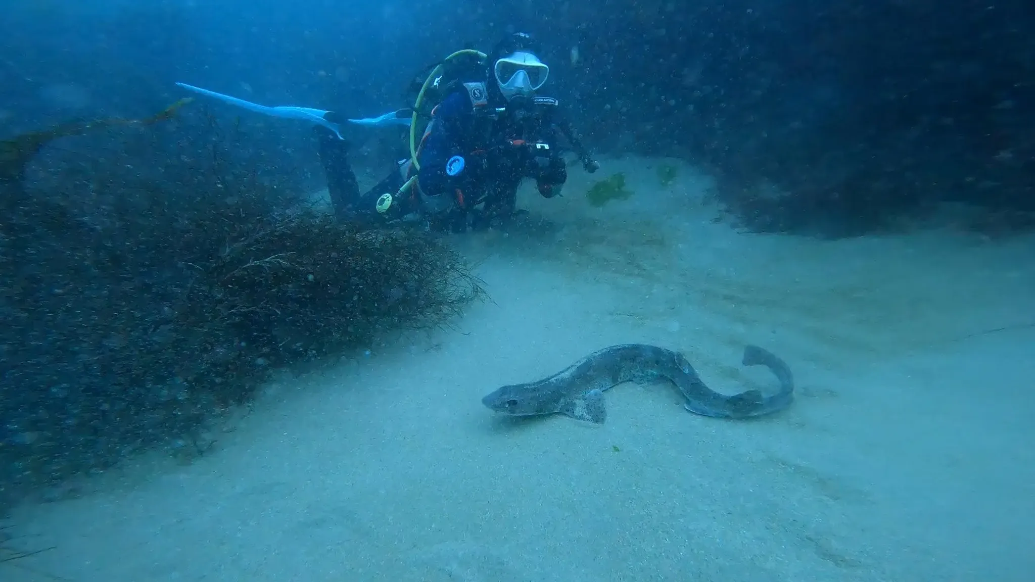 Padi Peak Performance Buoyancy