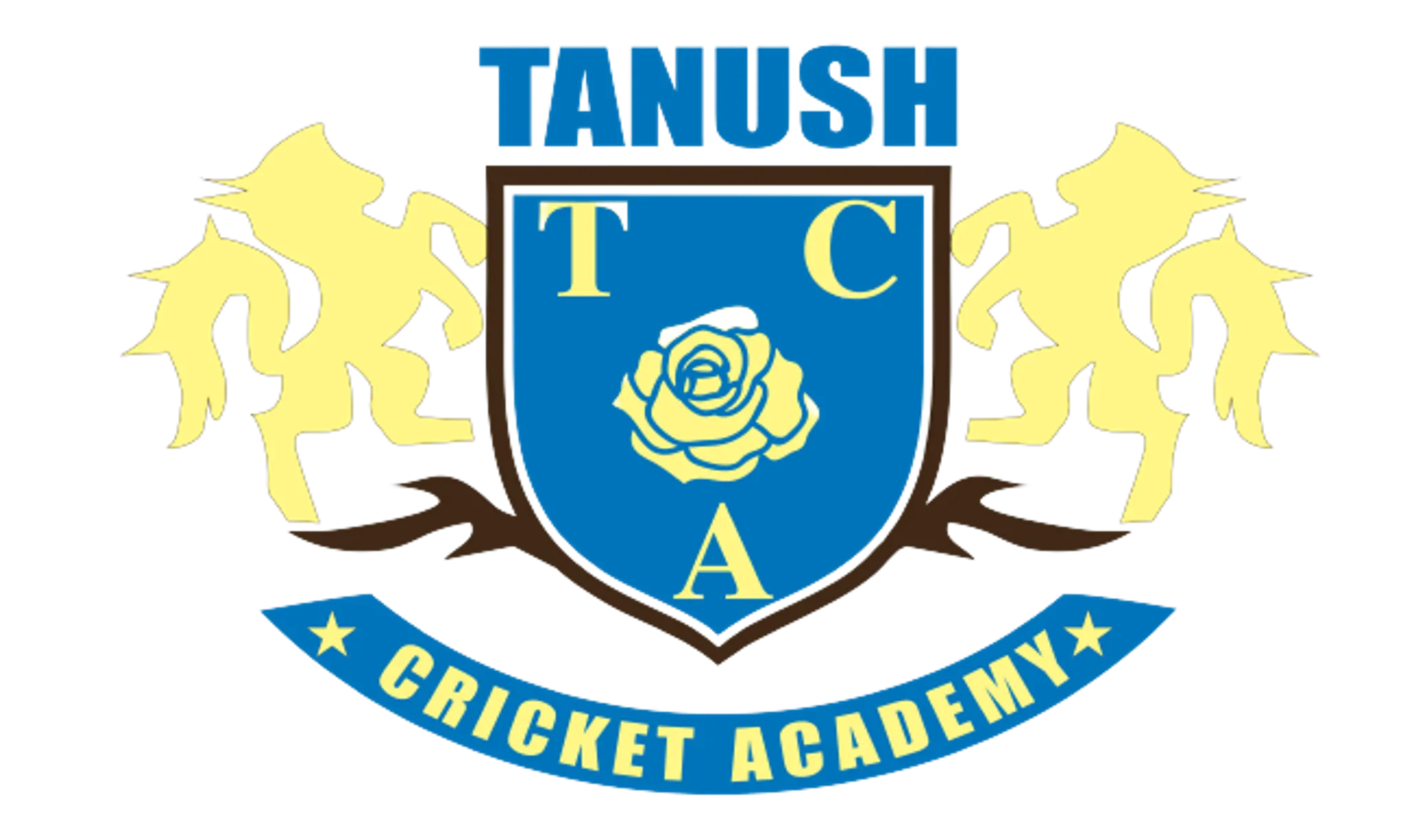 Tanush Cricket Academy