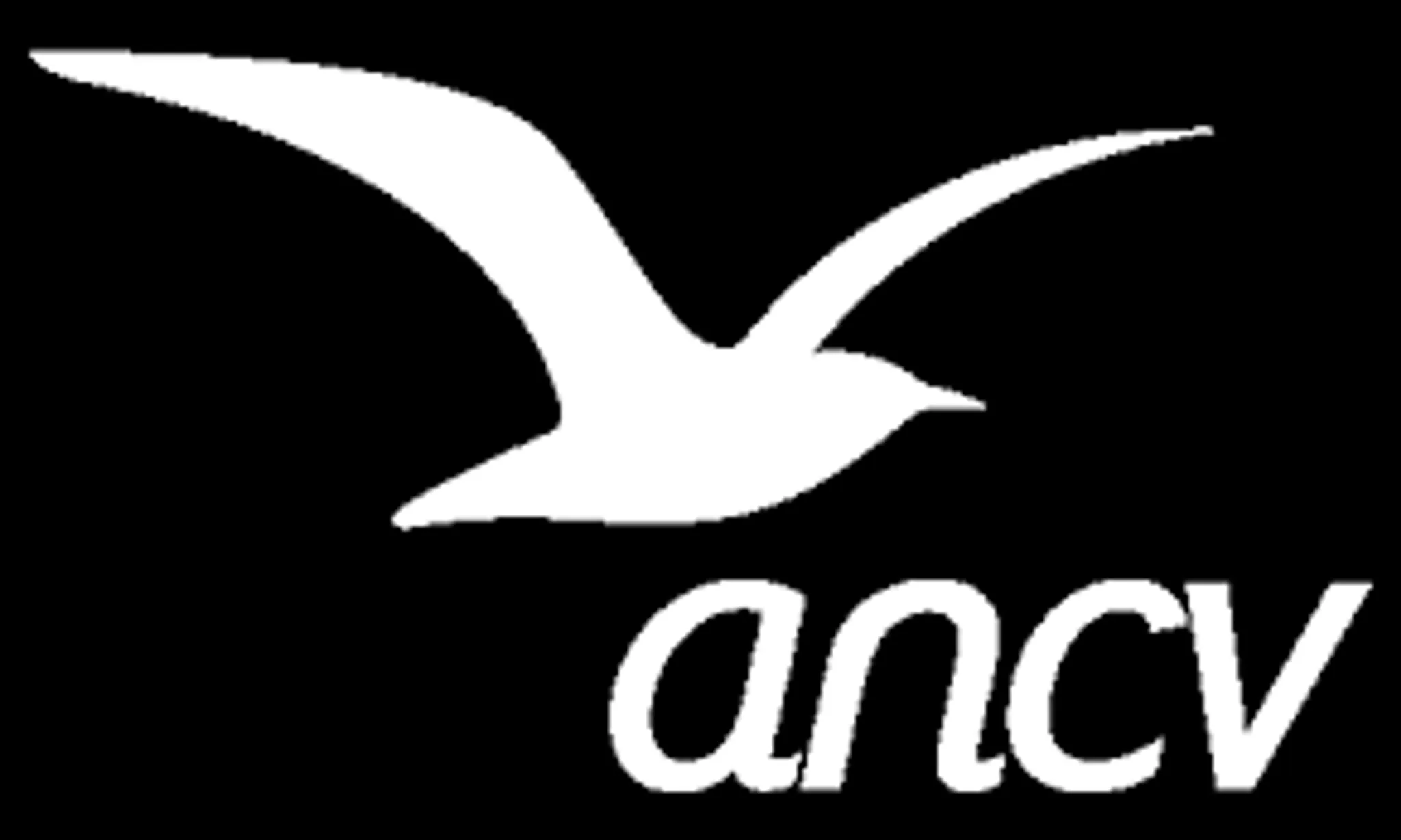 L'Instant Verdon - Canyon - Escalade - Aventure