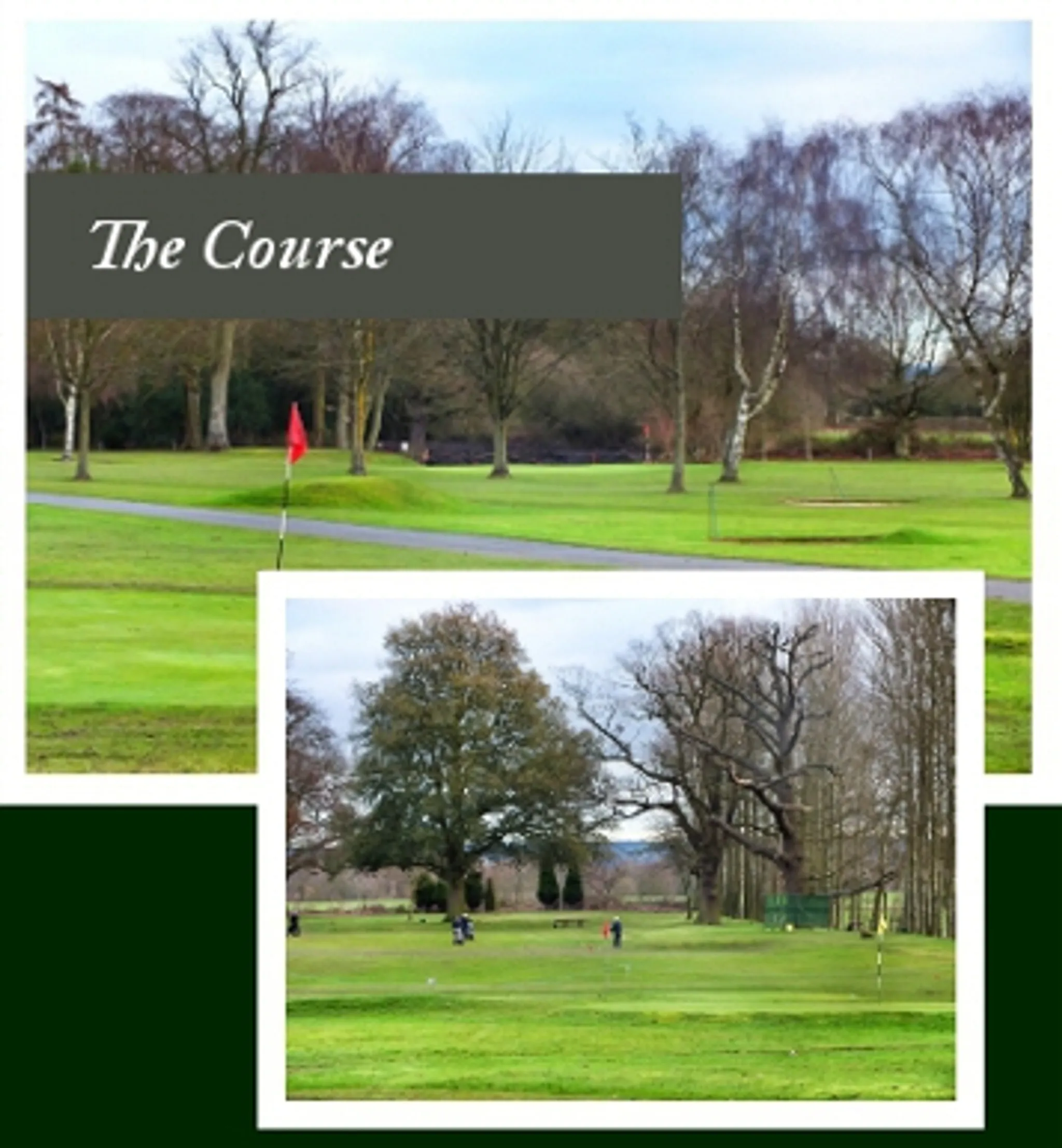 Wrottesley Golf Club