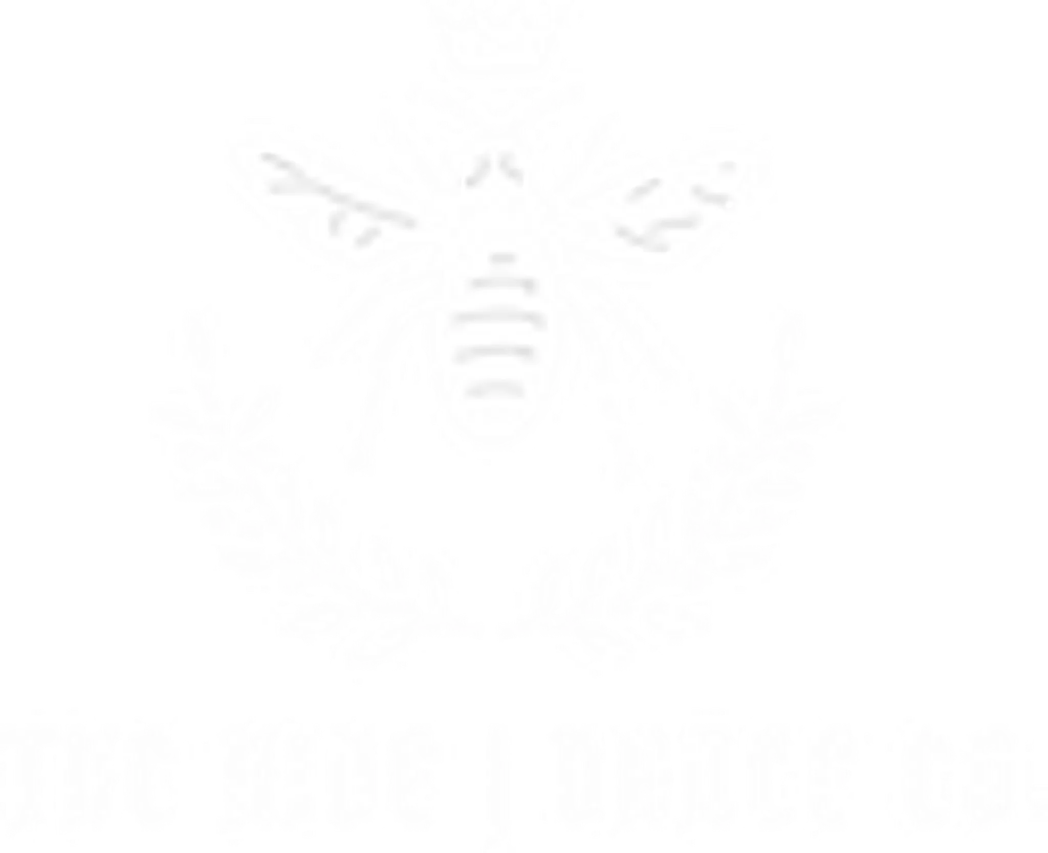 The Hive Dance Company