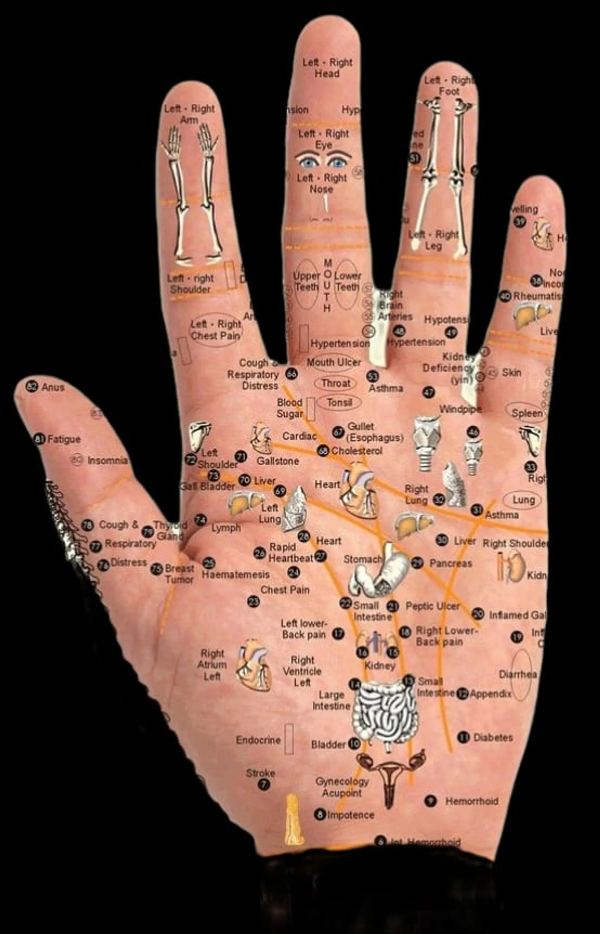 GuruBandan Yoga & Acupressure Centre