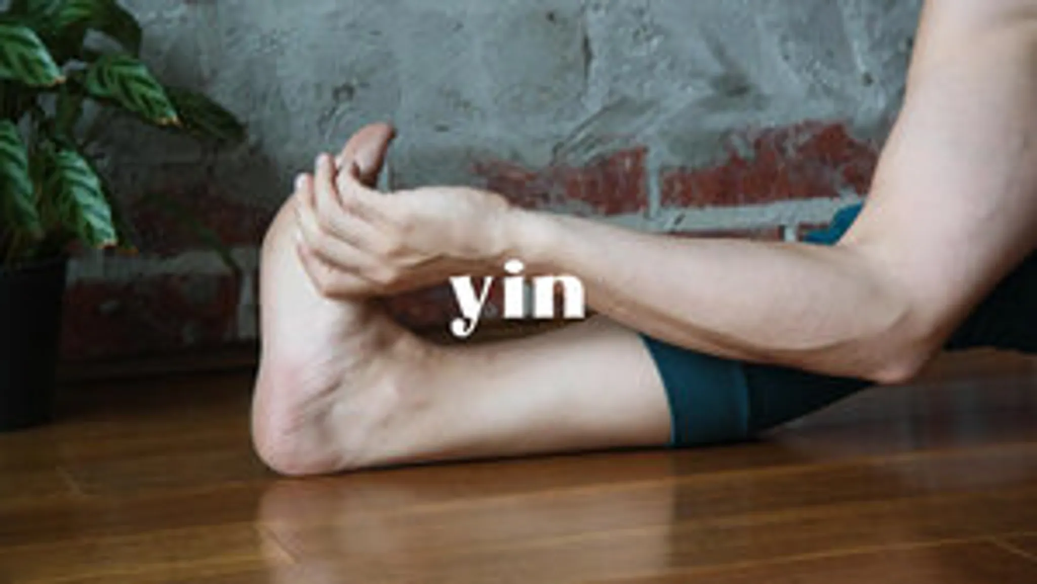 Zenthai Shiatsu: Temple Night