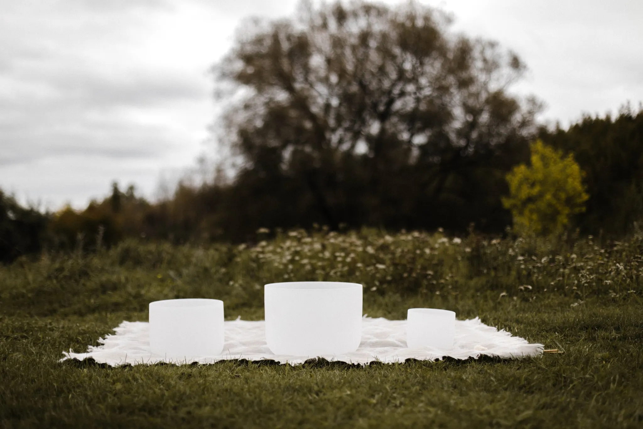 Nakshatra Wellness Co.