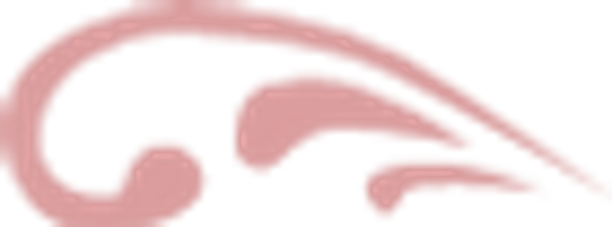 Rouse School of Dance