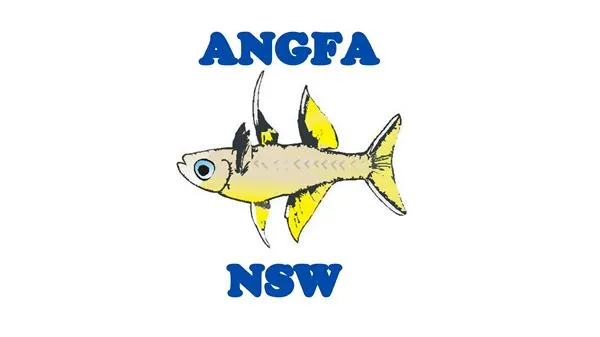 ANGFA NSW Branch