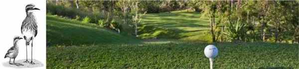 Magnetic Island Country Club
