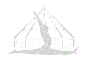 Iyengar Yoga Institute of Bondi Junction